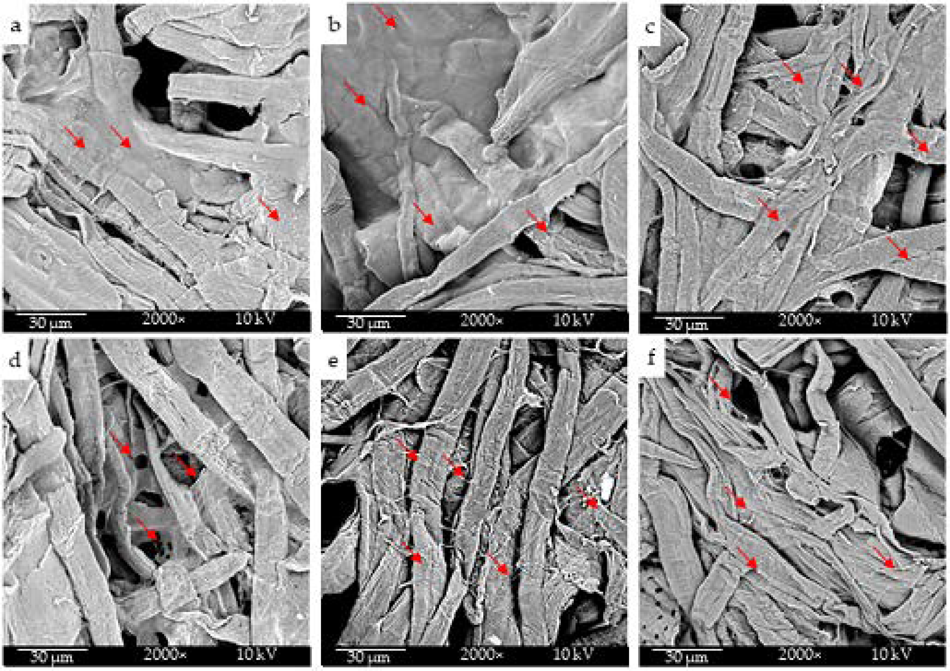 Molecules 26 04374 g007 550