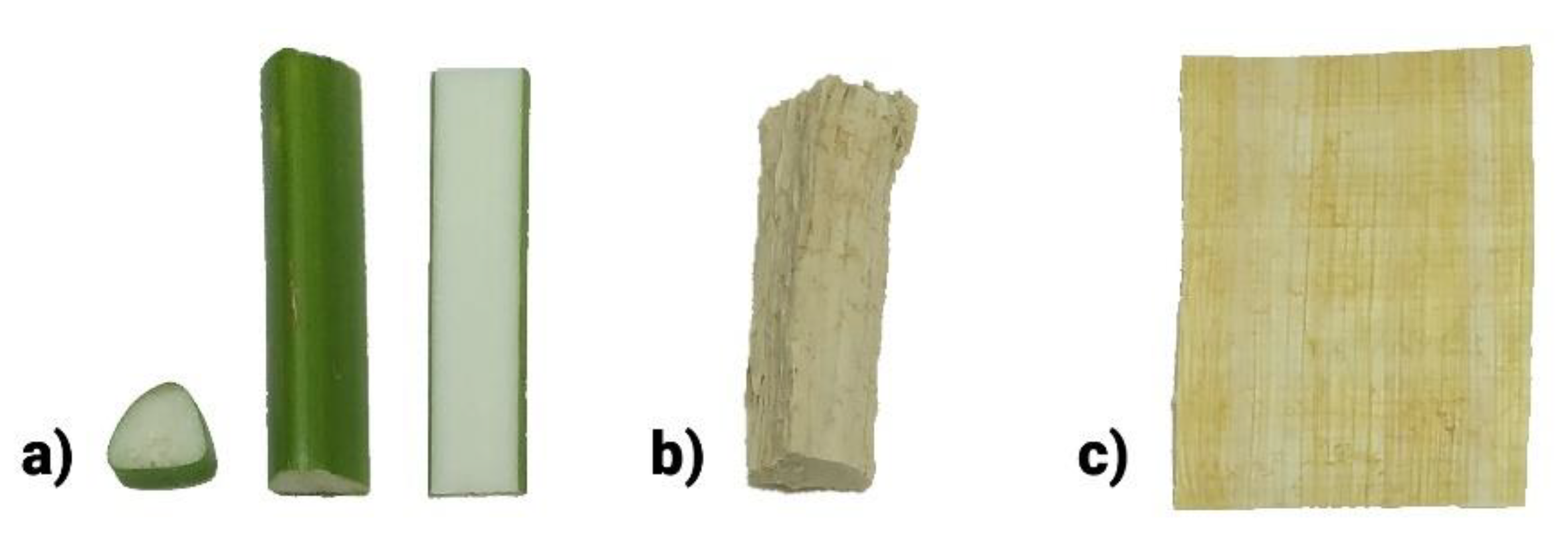 Molecules 26 04384 g001 Molecules 26 04384 g001