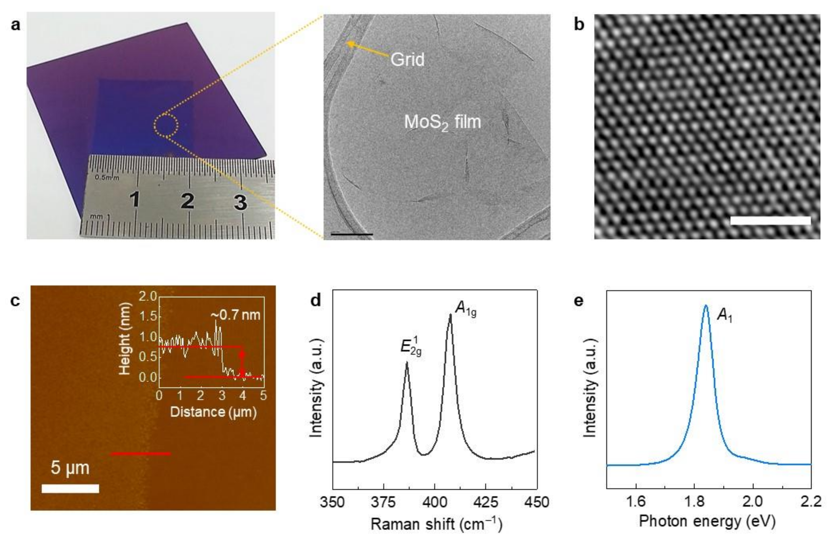 Molecules 26 04394 g001