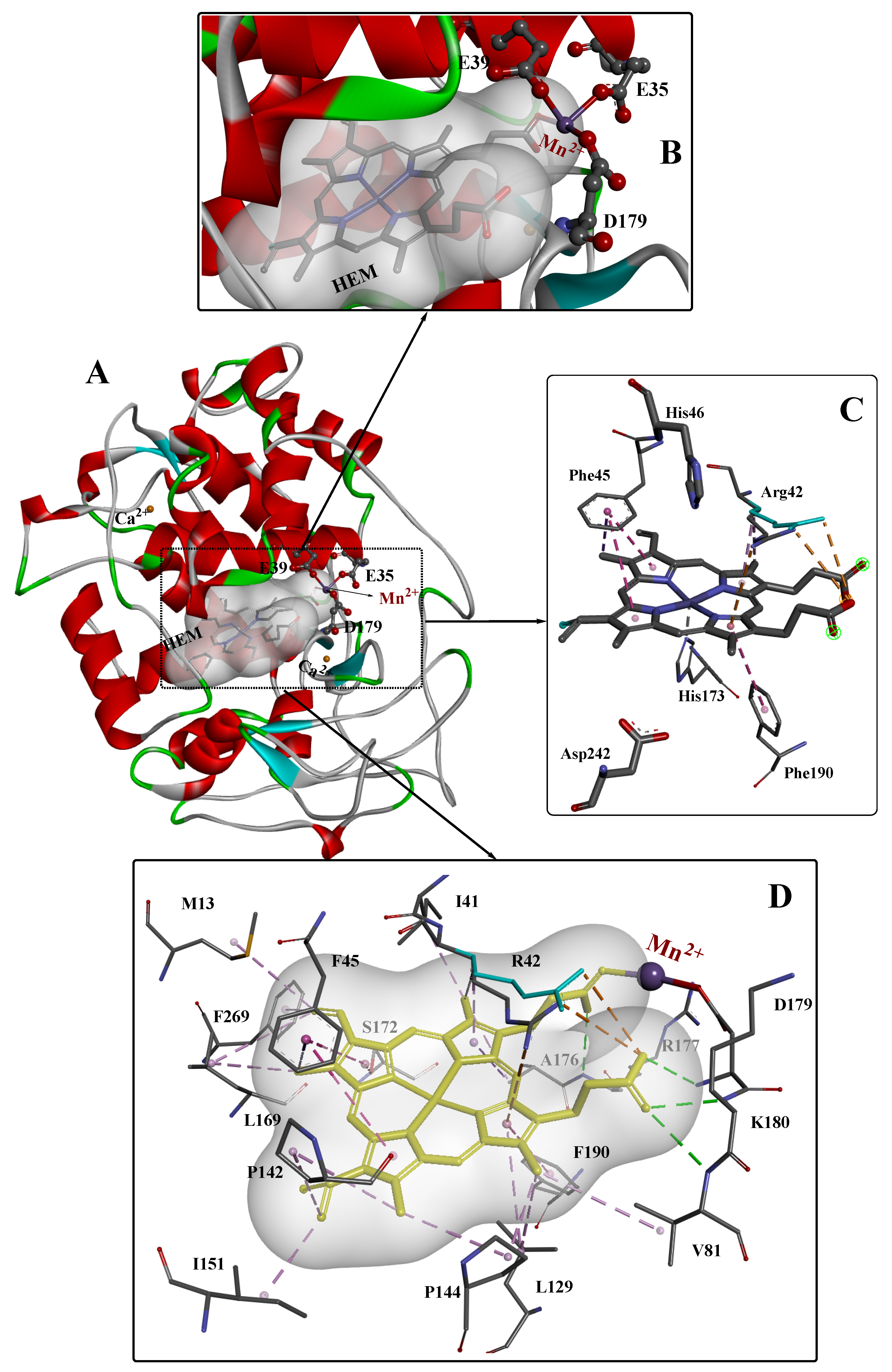 Molecules 26 04403 g001