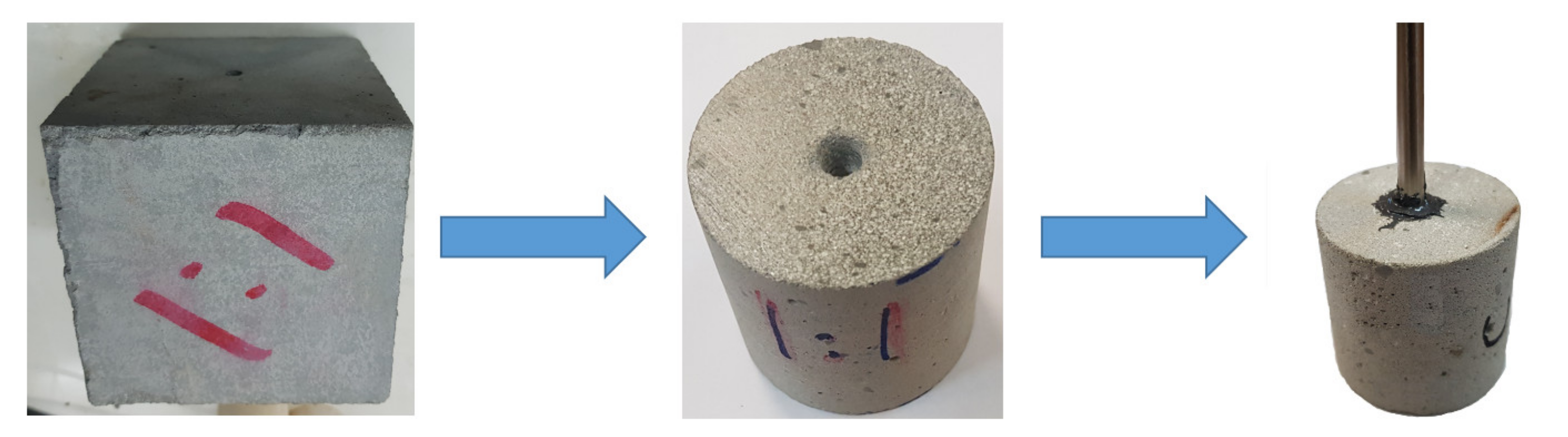 Molecules 26 04407 g001