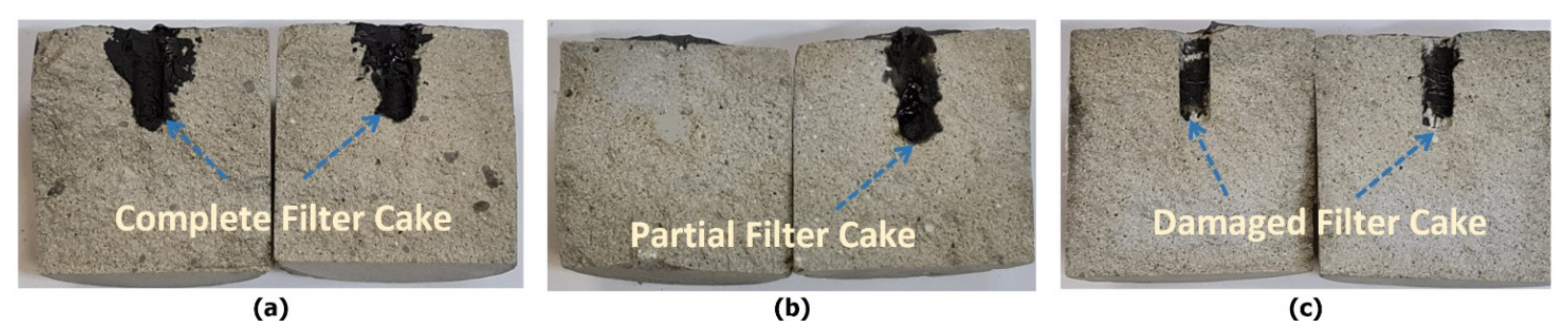 Molecules 26 04407 g006