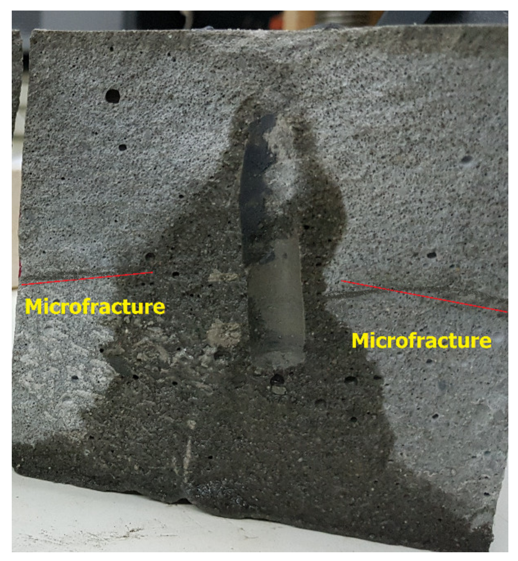 Molecules 26 04407 g008