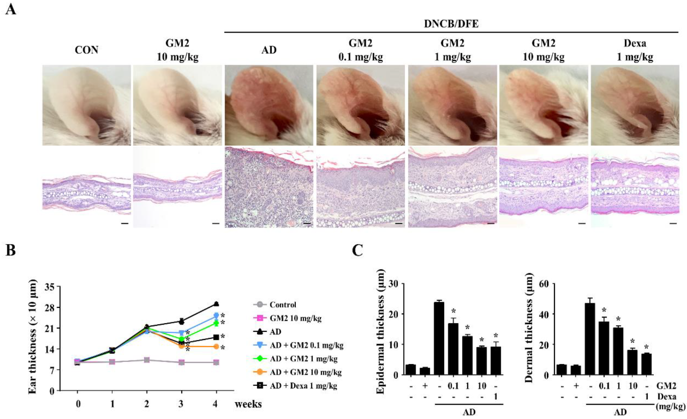 Molecules 26 04409 g002