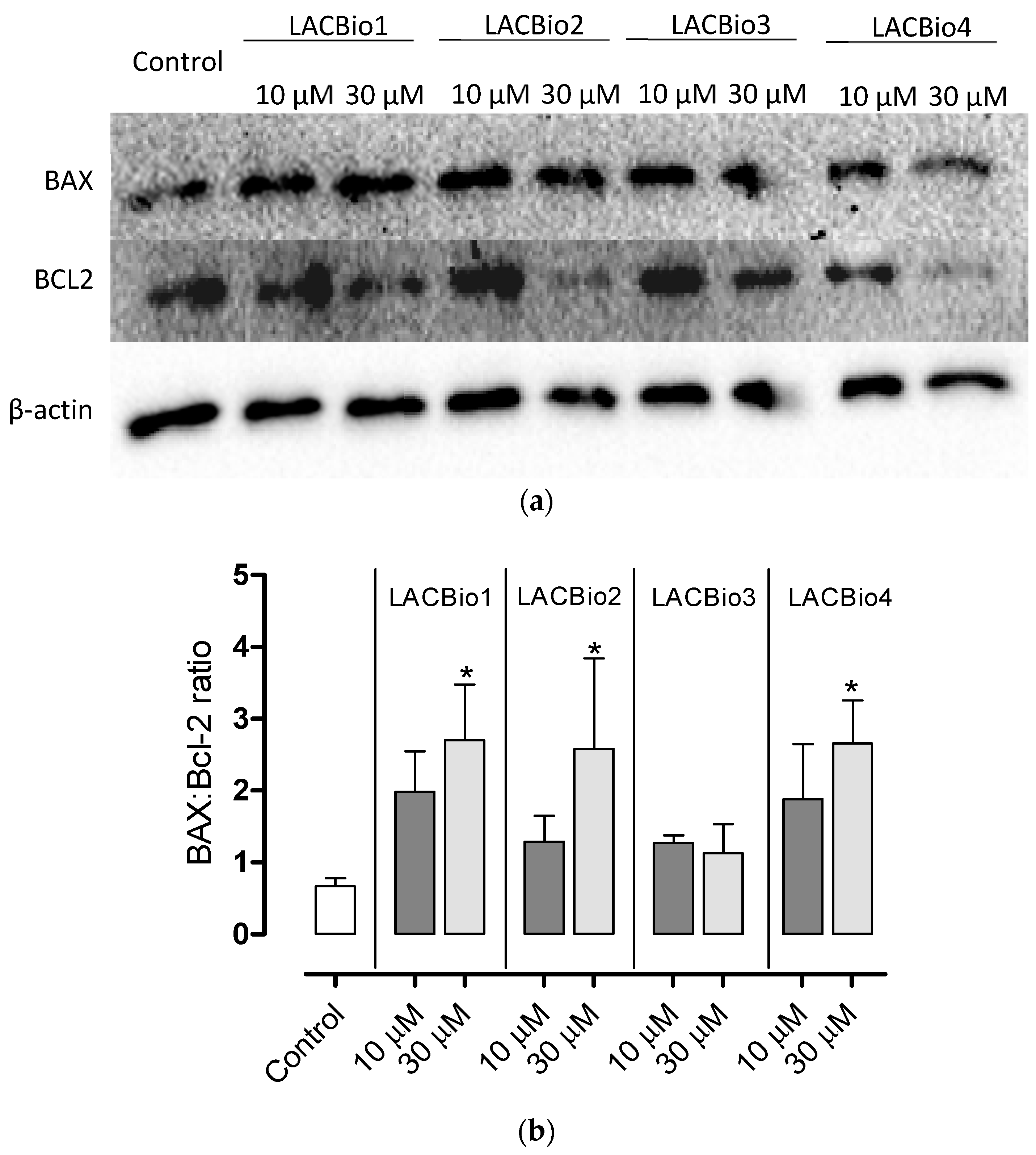 Molecules 26 04414 g004 Molecules 26 04414 g004