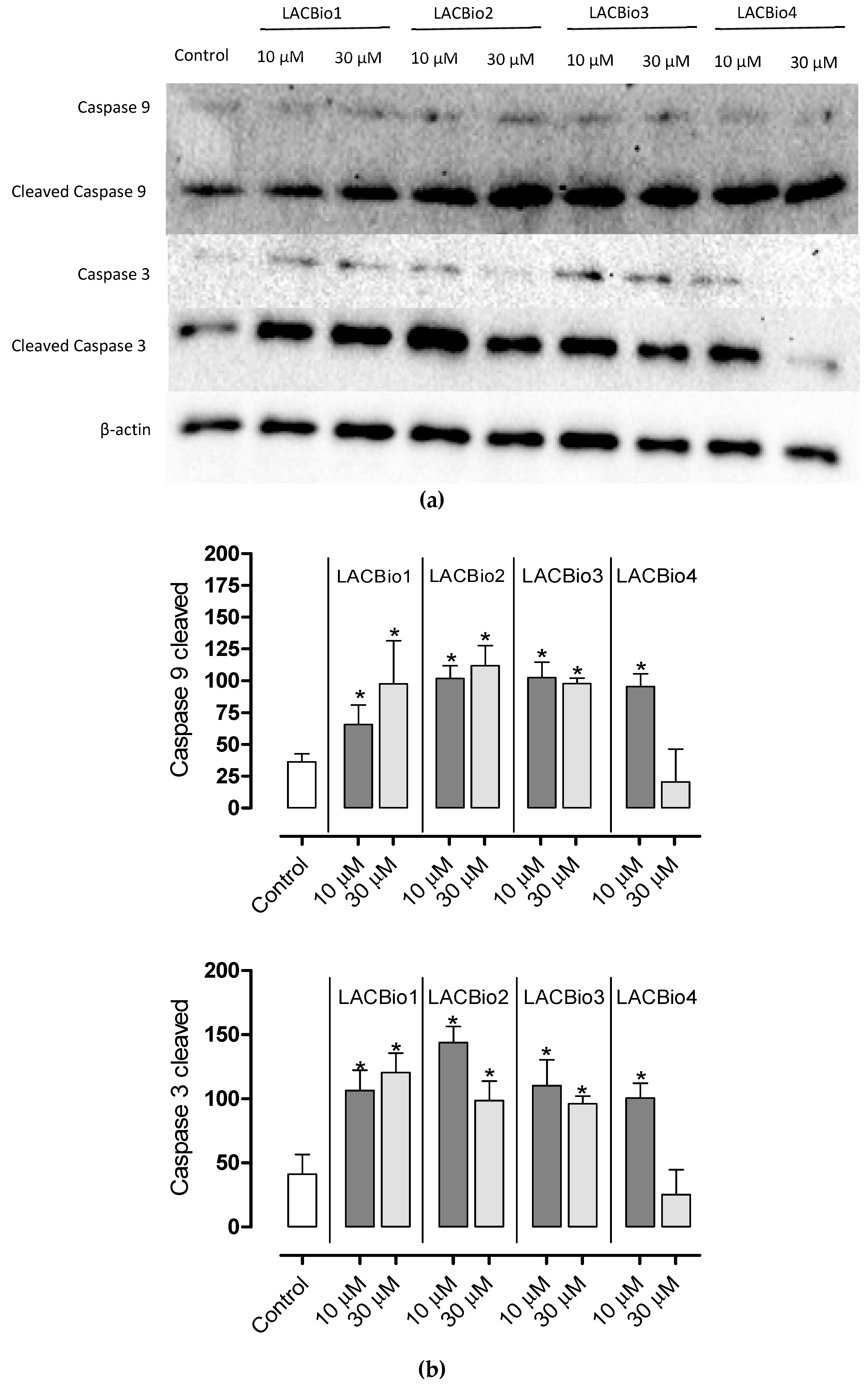 Molecules 26 04414 g005 Molecules 26 04414 g005