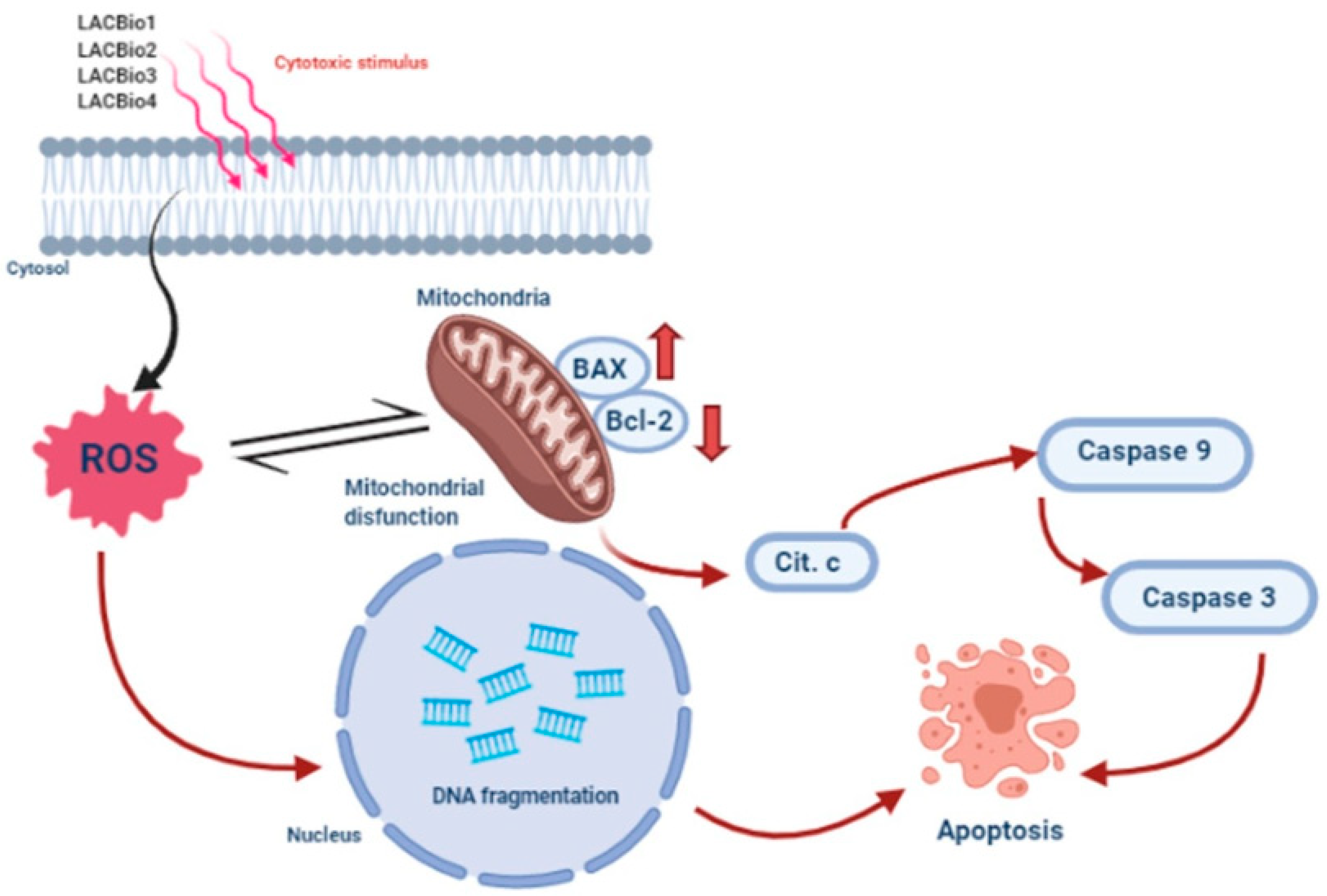 Molecules 26 04414 sch002 Molecules 26 04414 sch002