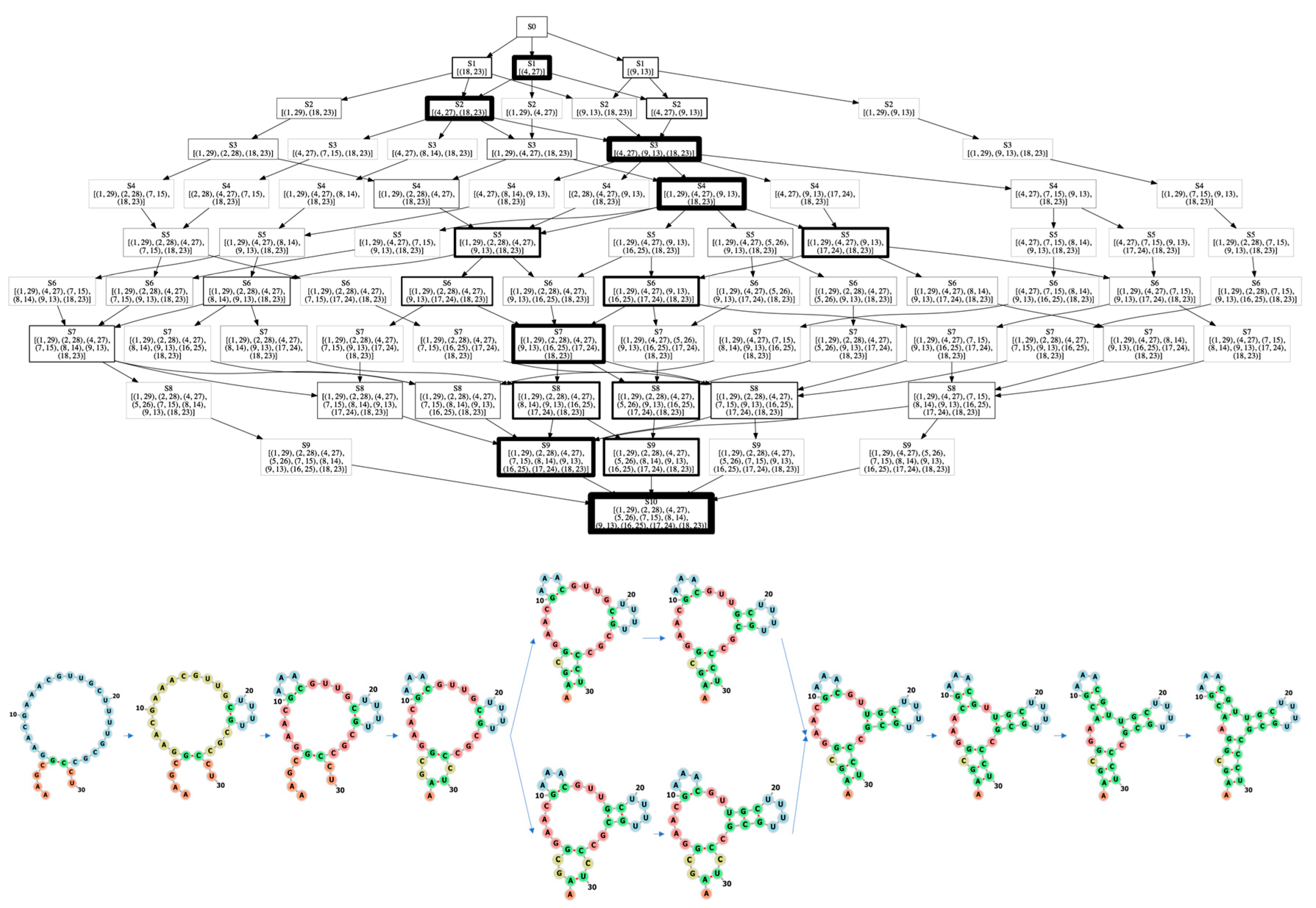 Molecules 26 04420 g005