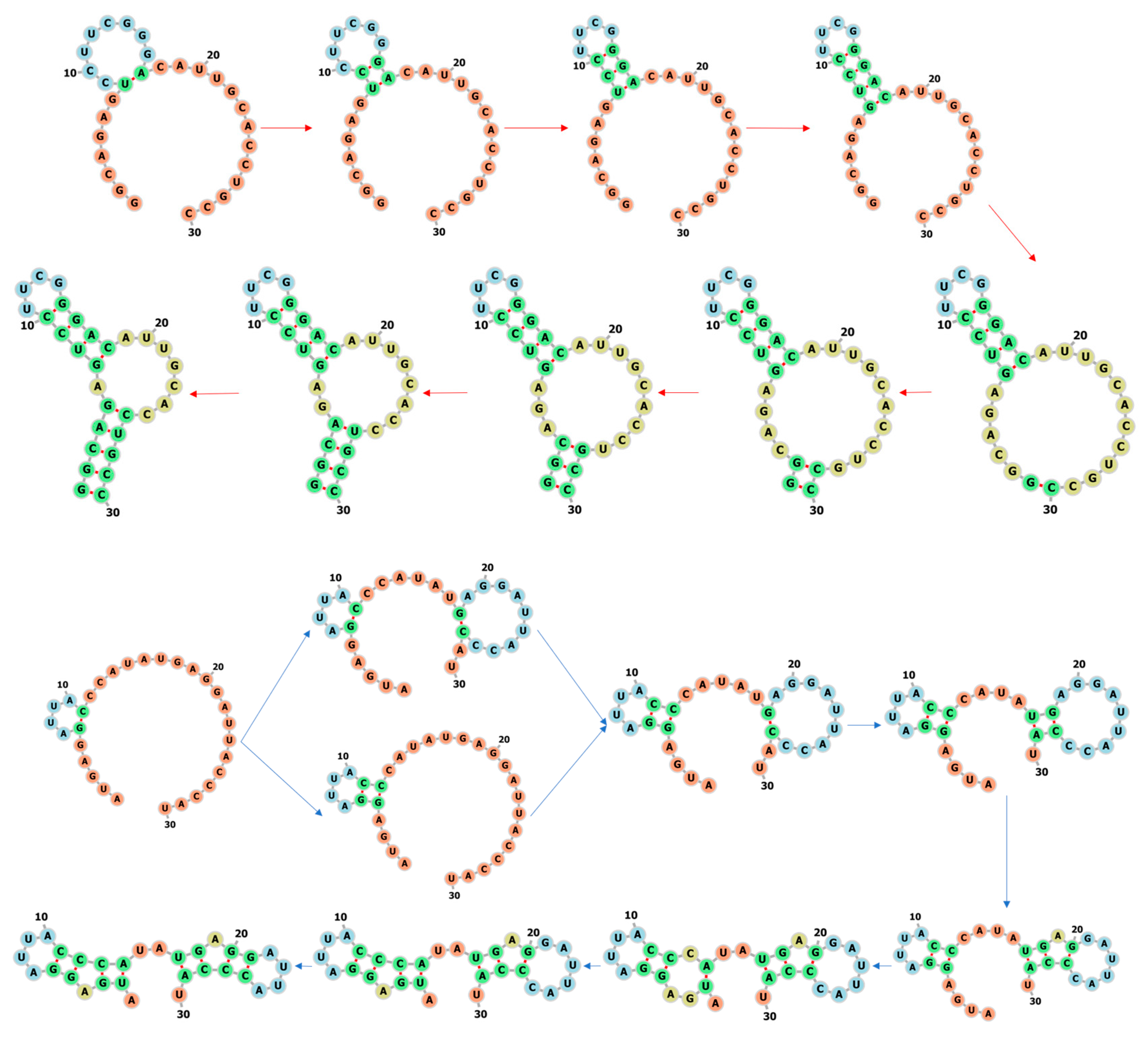 Molecules 26 04420 g006