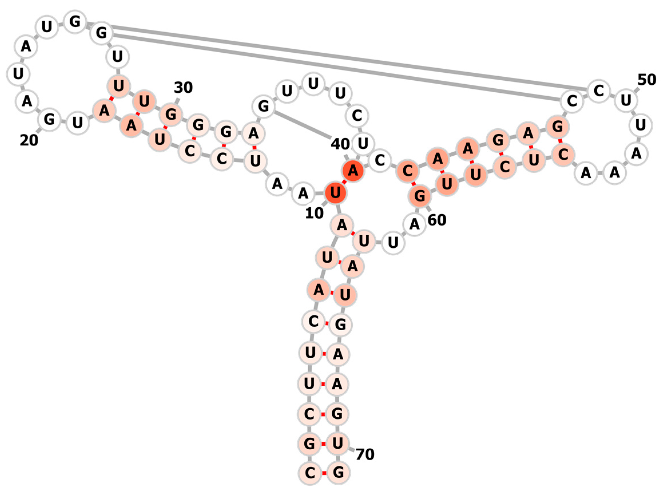 Molecules 26 04420 g007