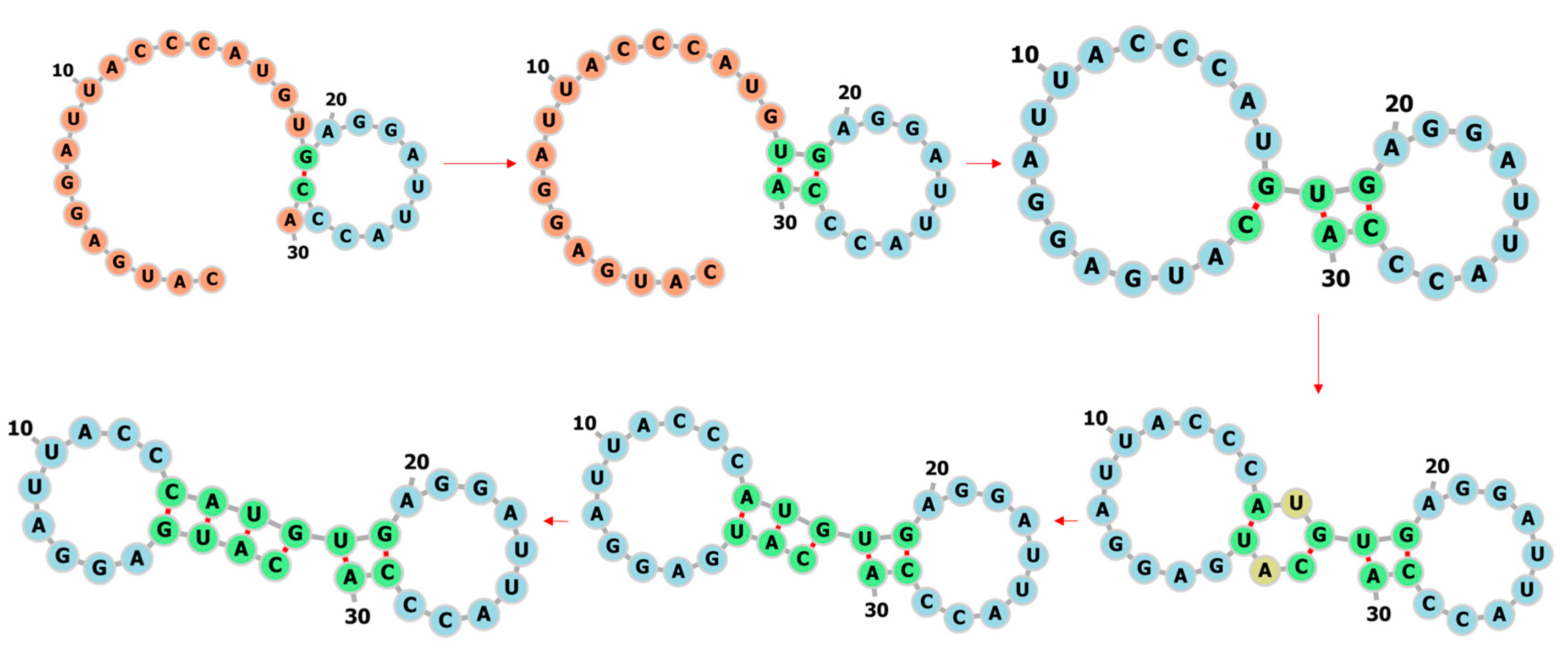 Molecules 26 04420 g008