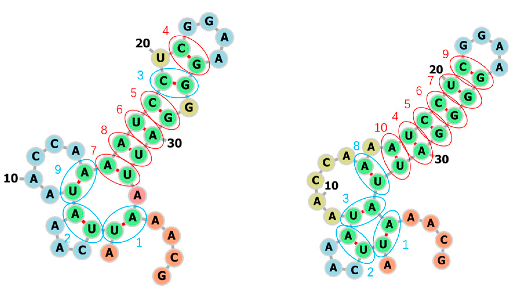 Molecules 26 04420 g016