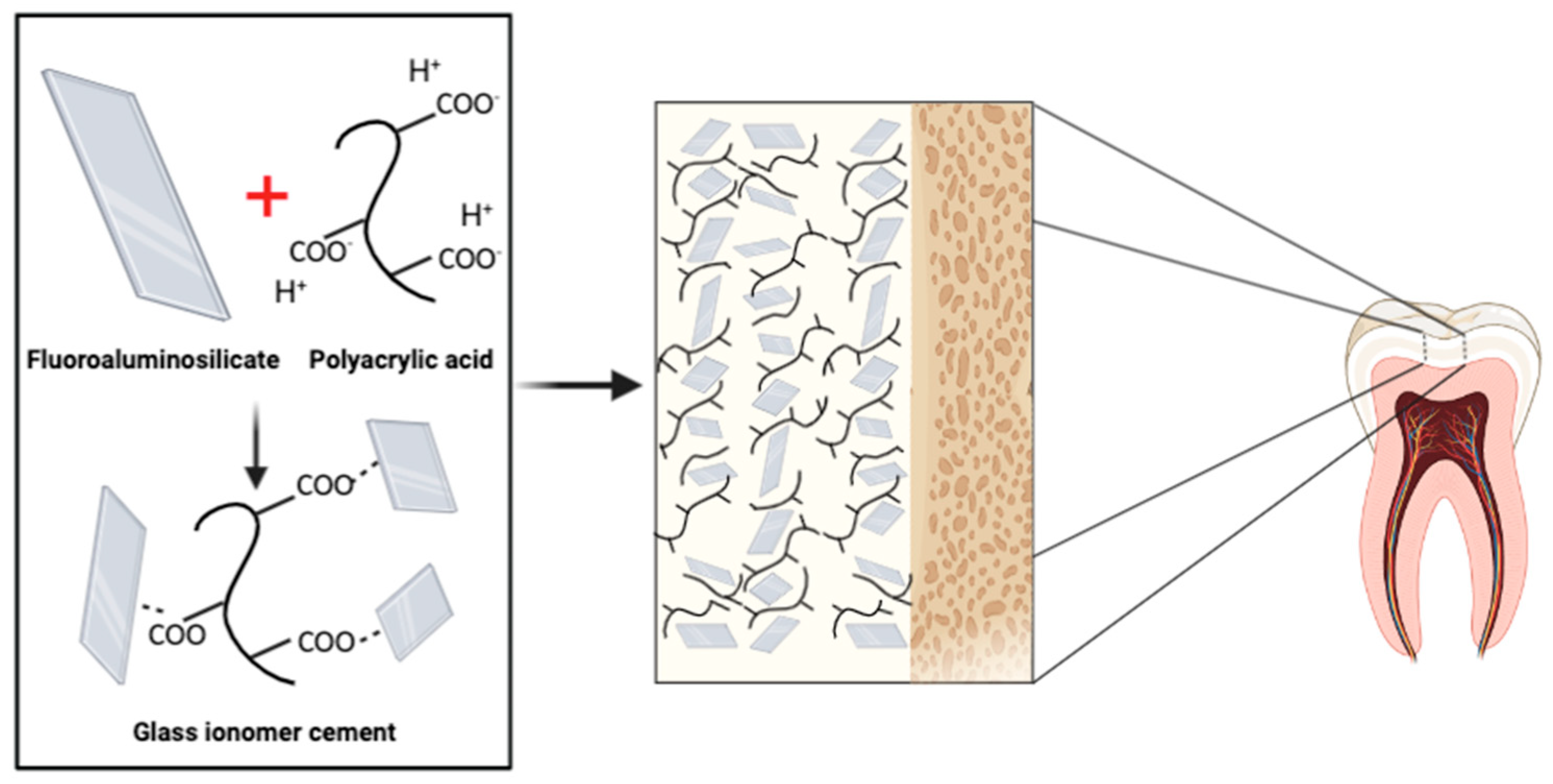 Molecules 26 04423 g003