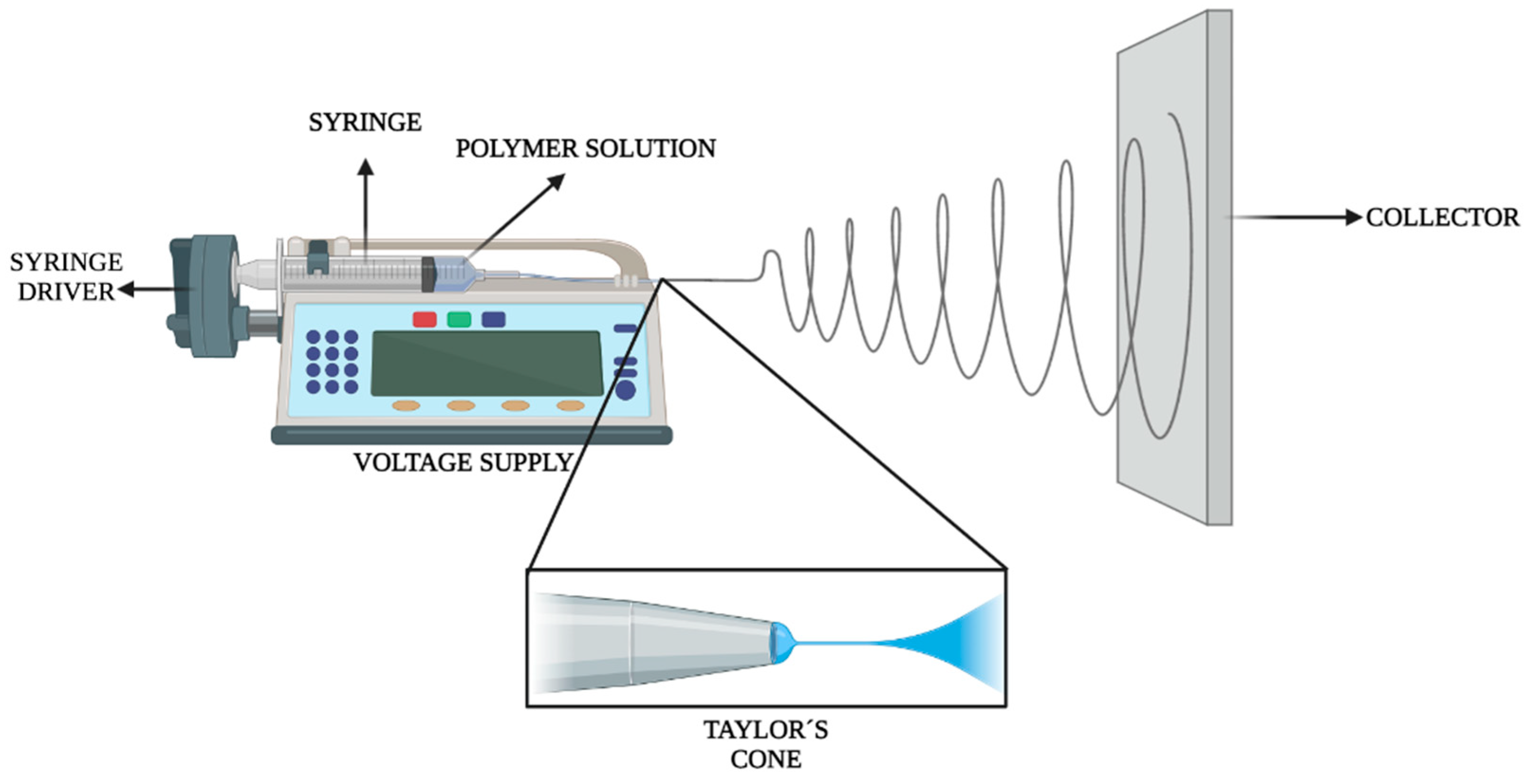 Molecules 26 04423 g004