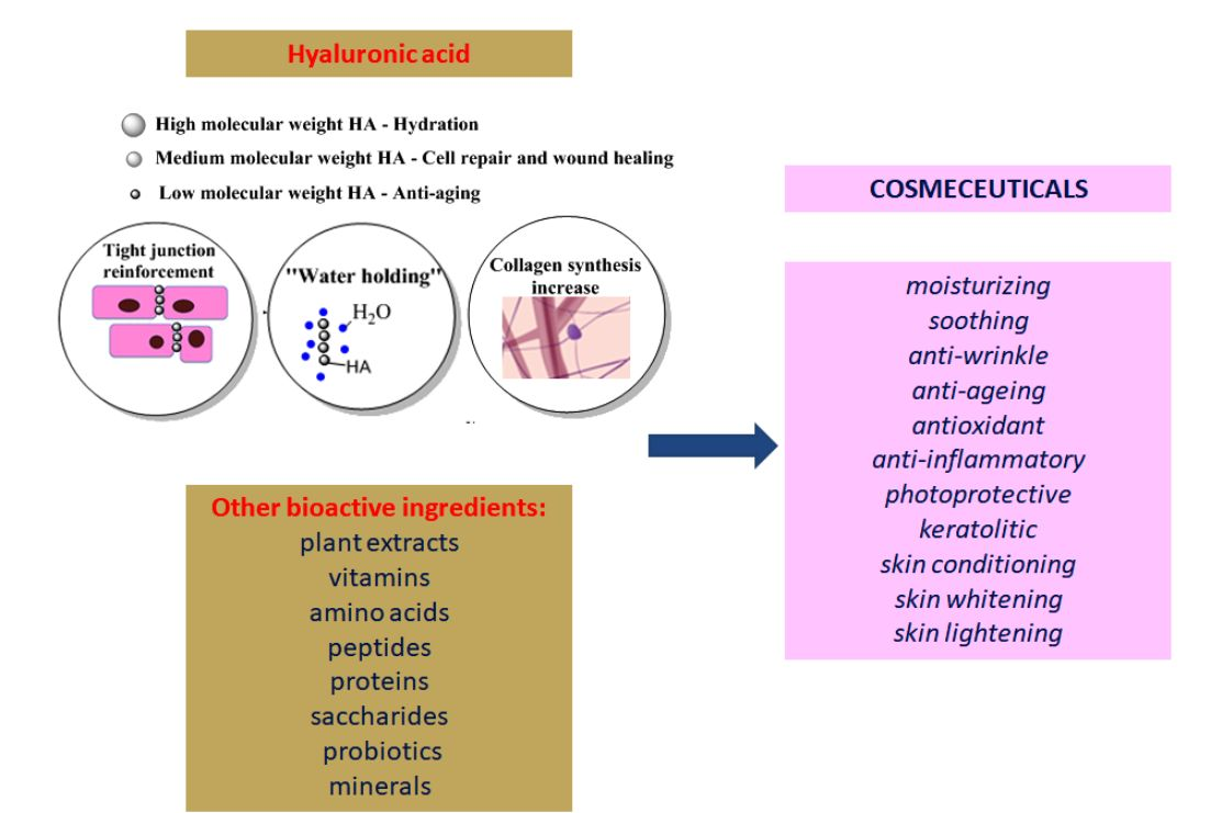 lab anti aging blemish control tisztító qith Svájci profi golfozó anti aging