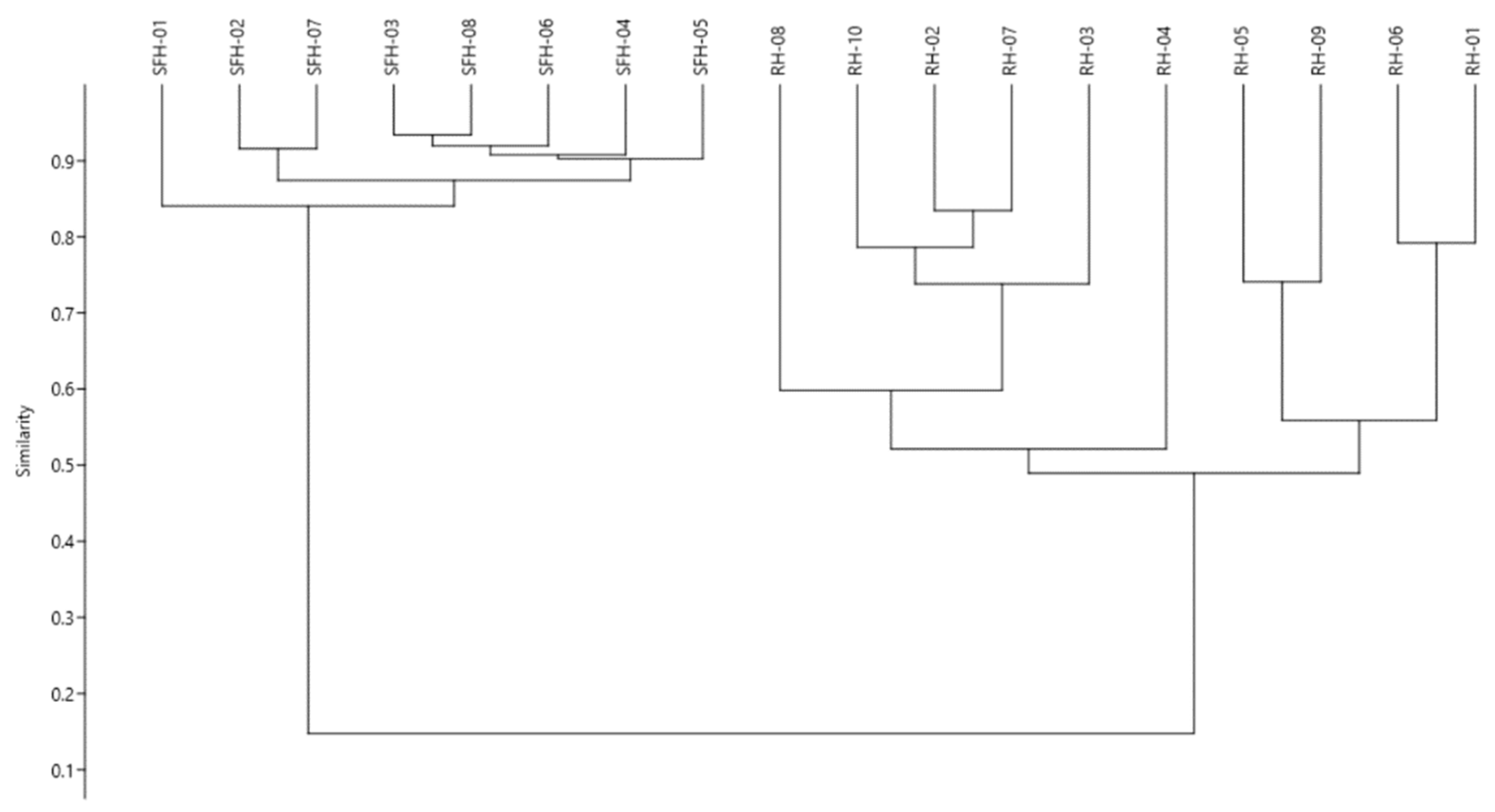 Molecules 26 04433 g003 Molecules 26 04433 g003