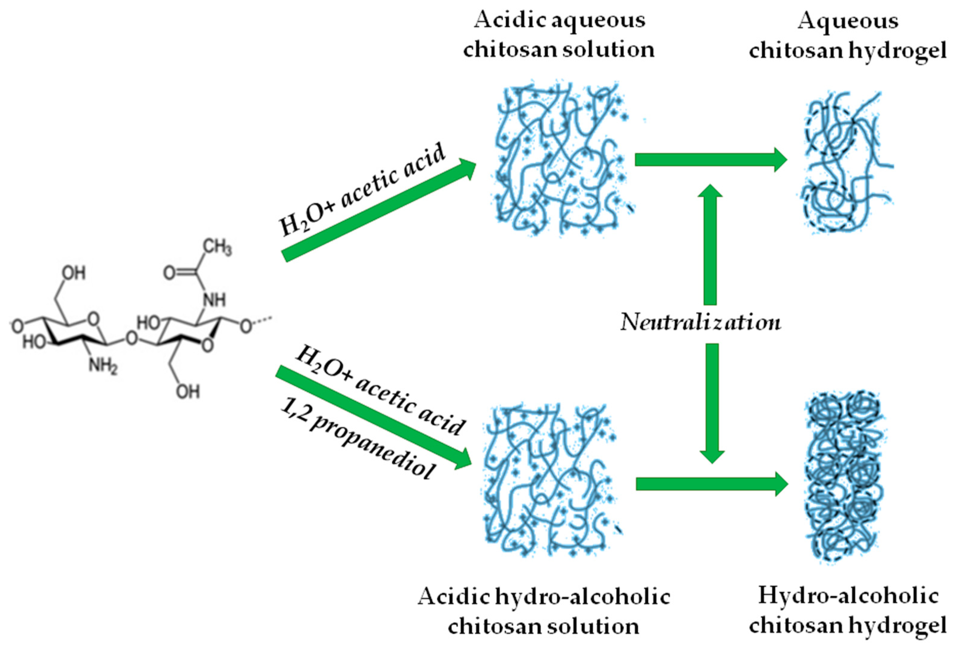 adsorption des molécules d'eau à la surface du gel de silice. A : cas