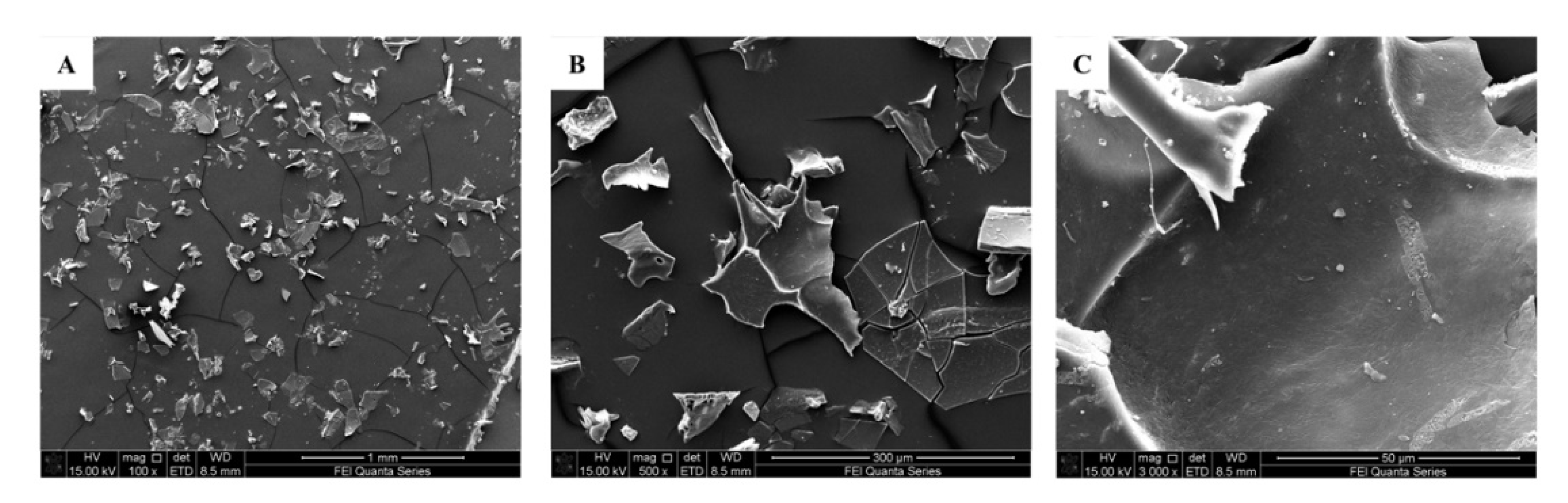 Molecules 26 04443 g004