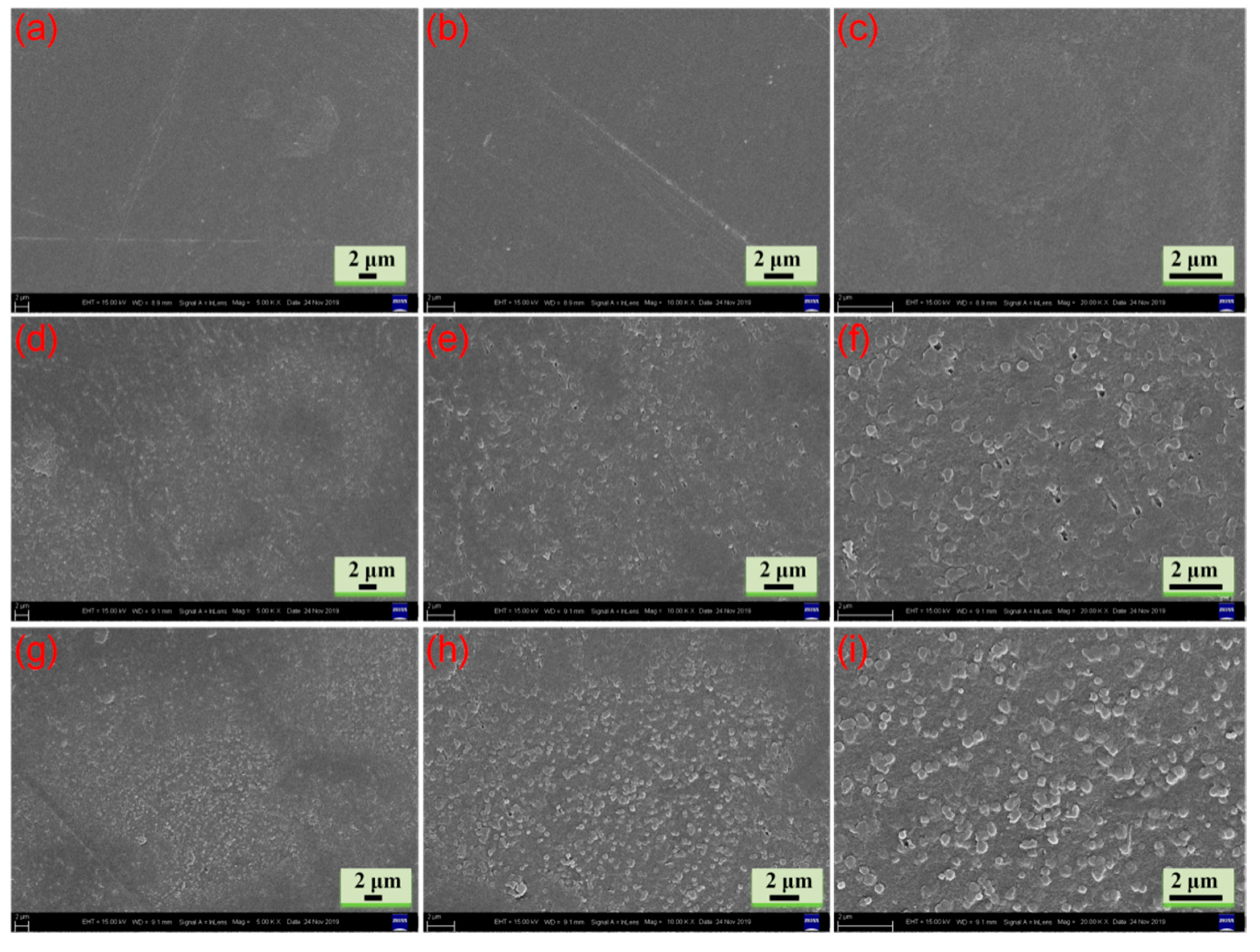 Molecules 26 04449 g003