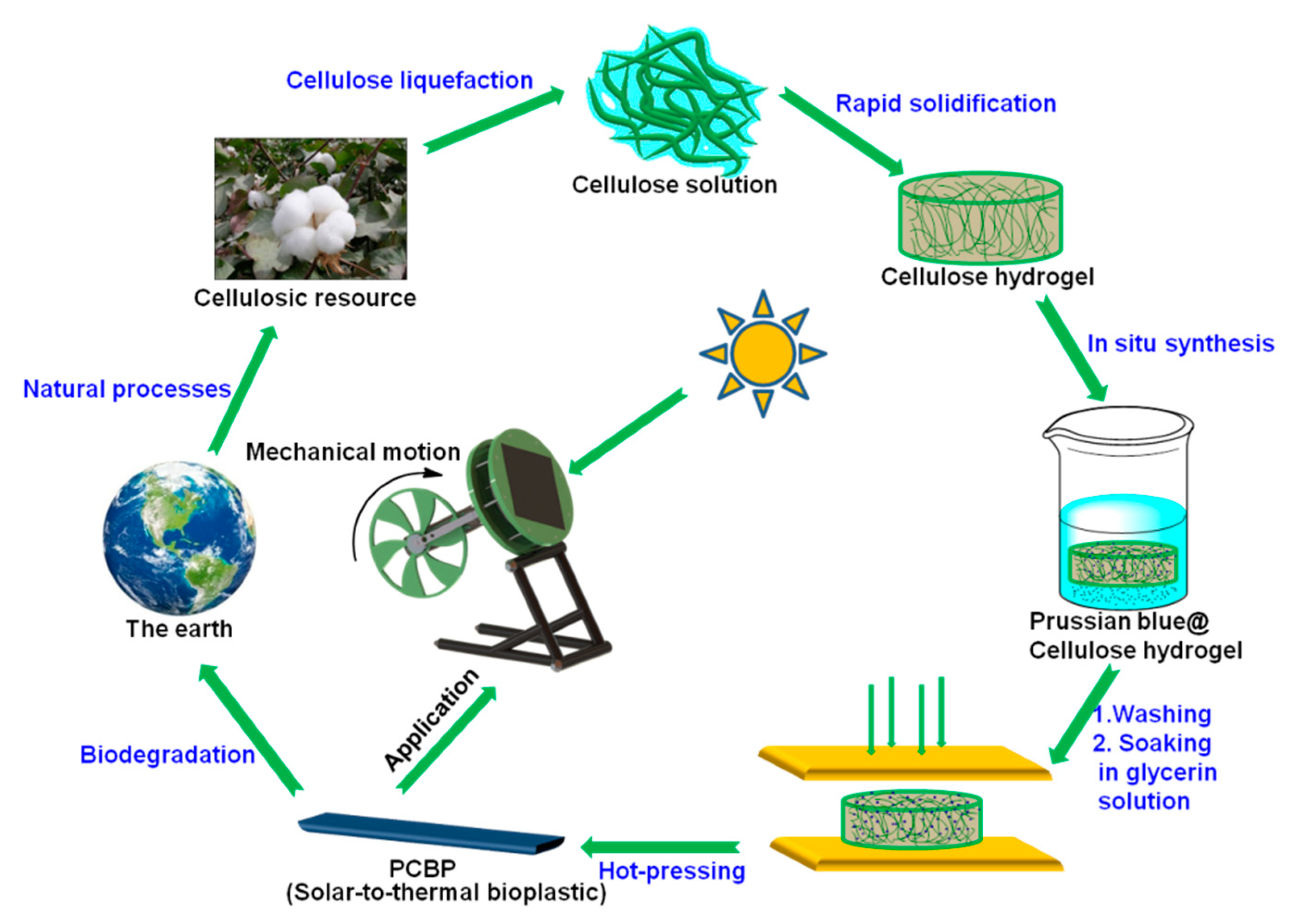 Molecules 26 04449 sch001