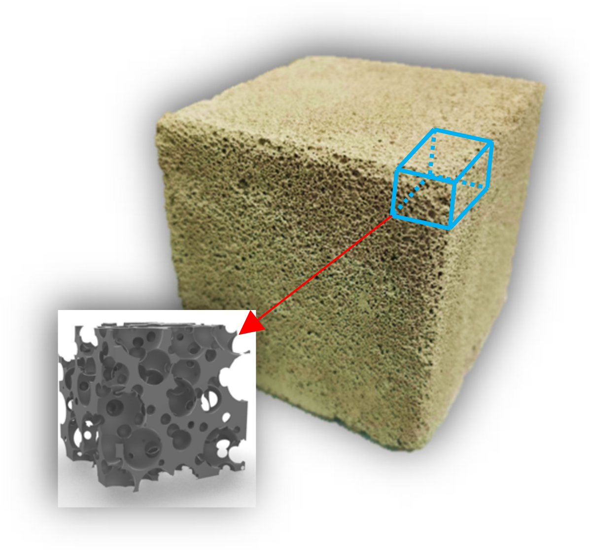 Molecules 26 04450 g002