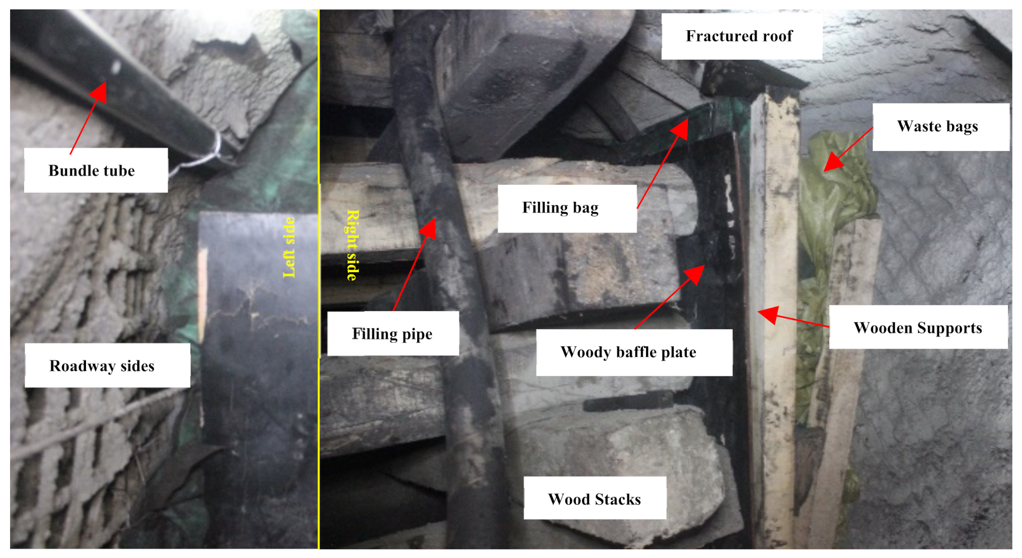 Molecules 26 04450 g012