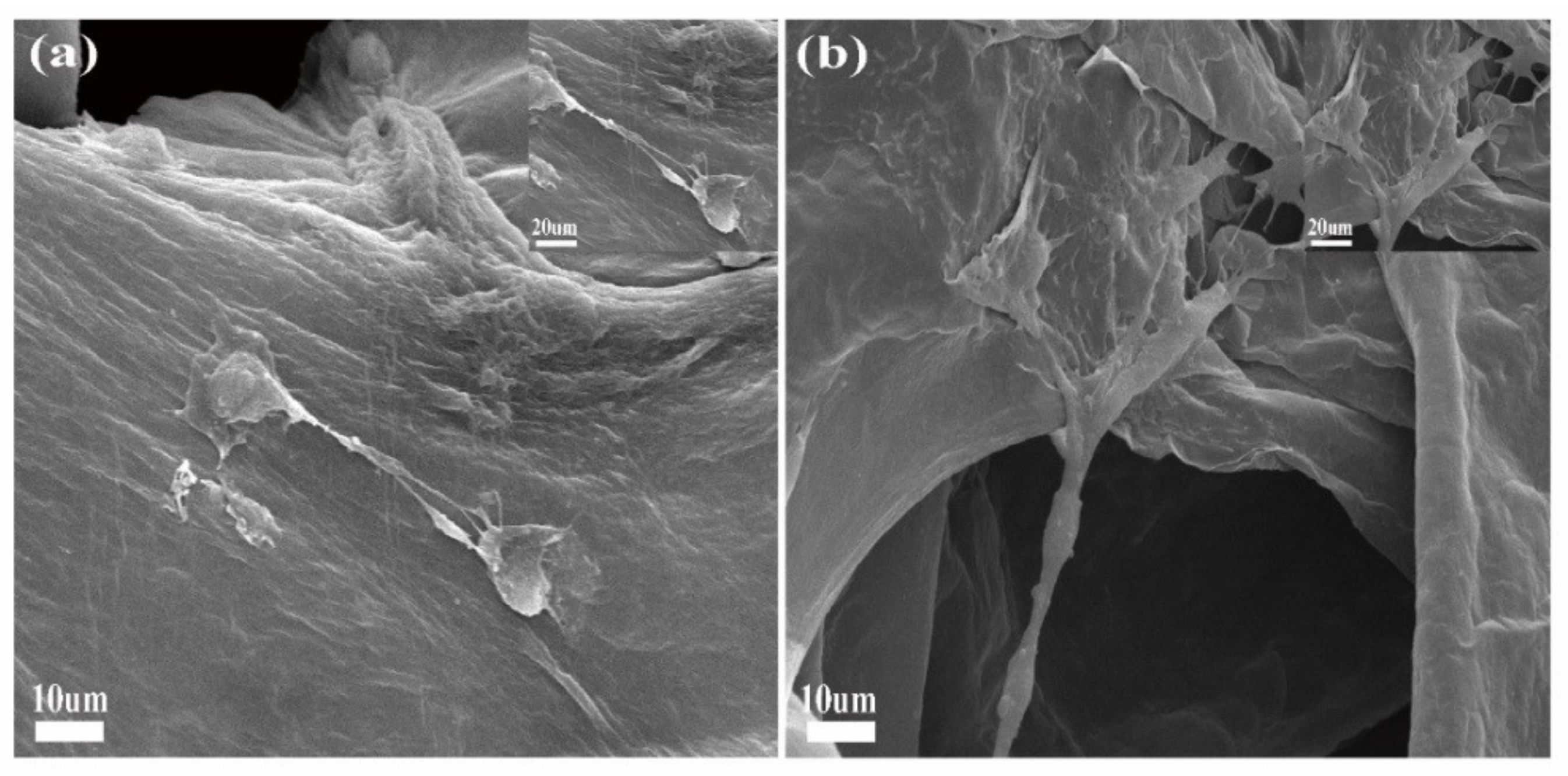 Molecules 26 04451 g006 Molecules 26 04451 g006