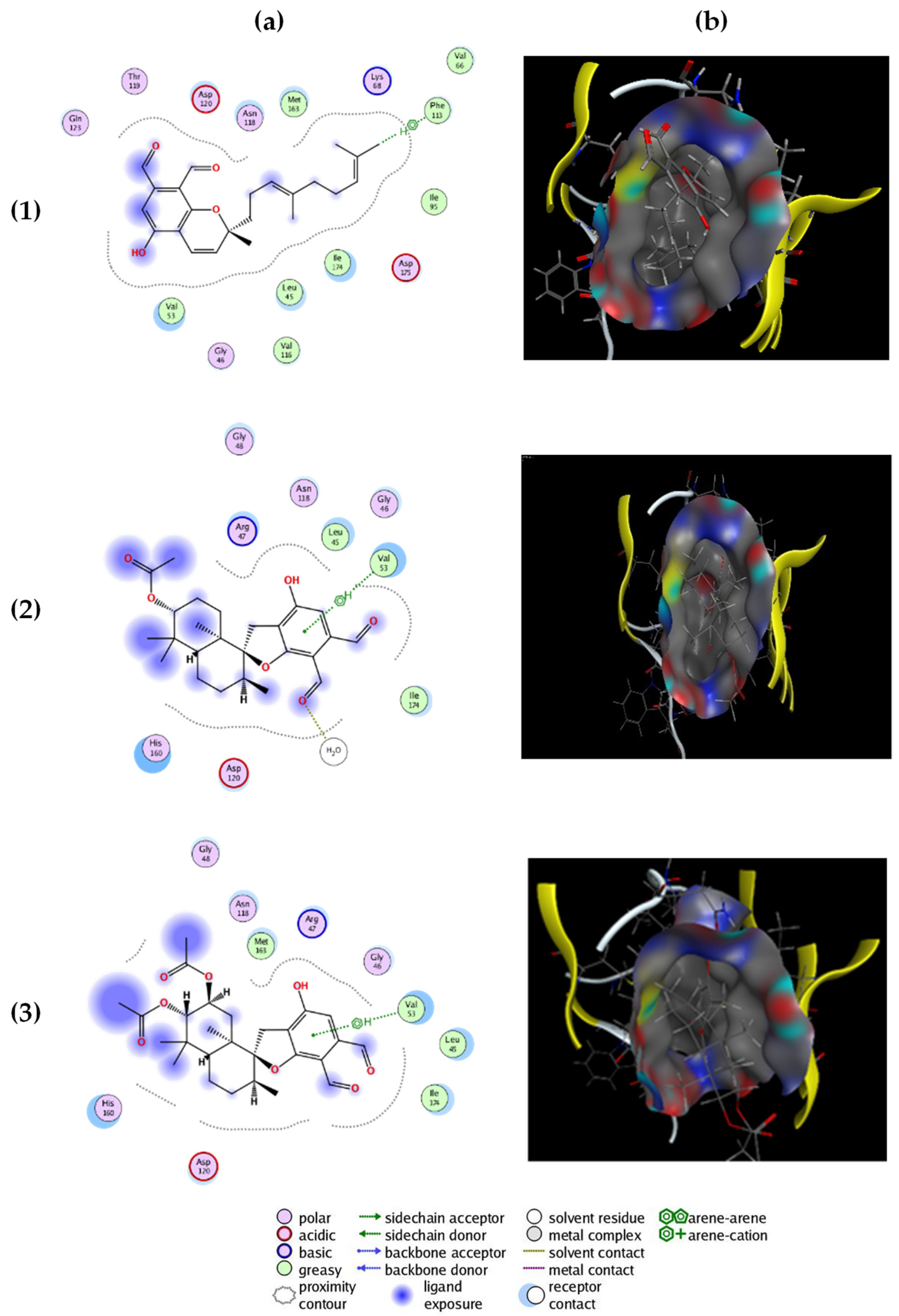 Molecules 26 04453 g002