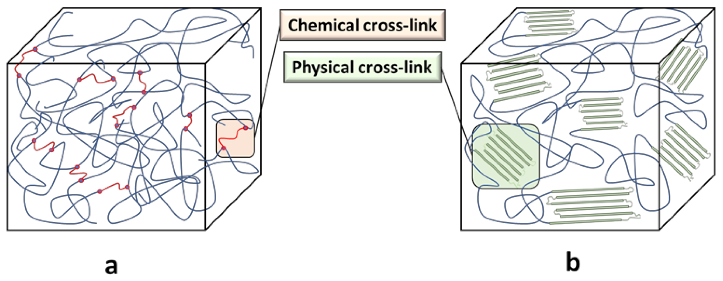 Molecules 26 04454 g003 550