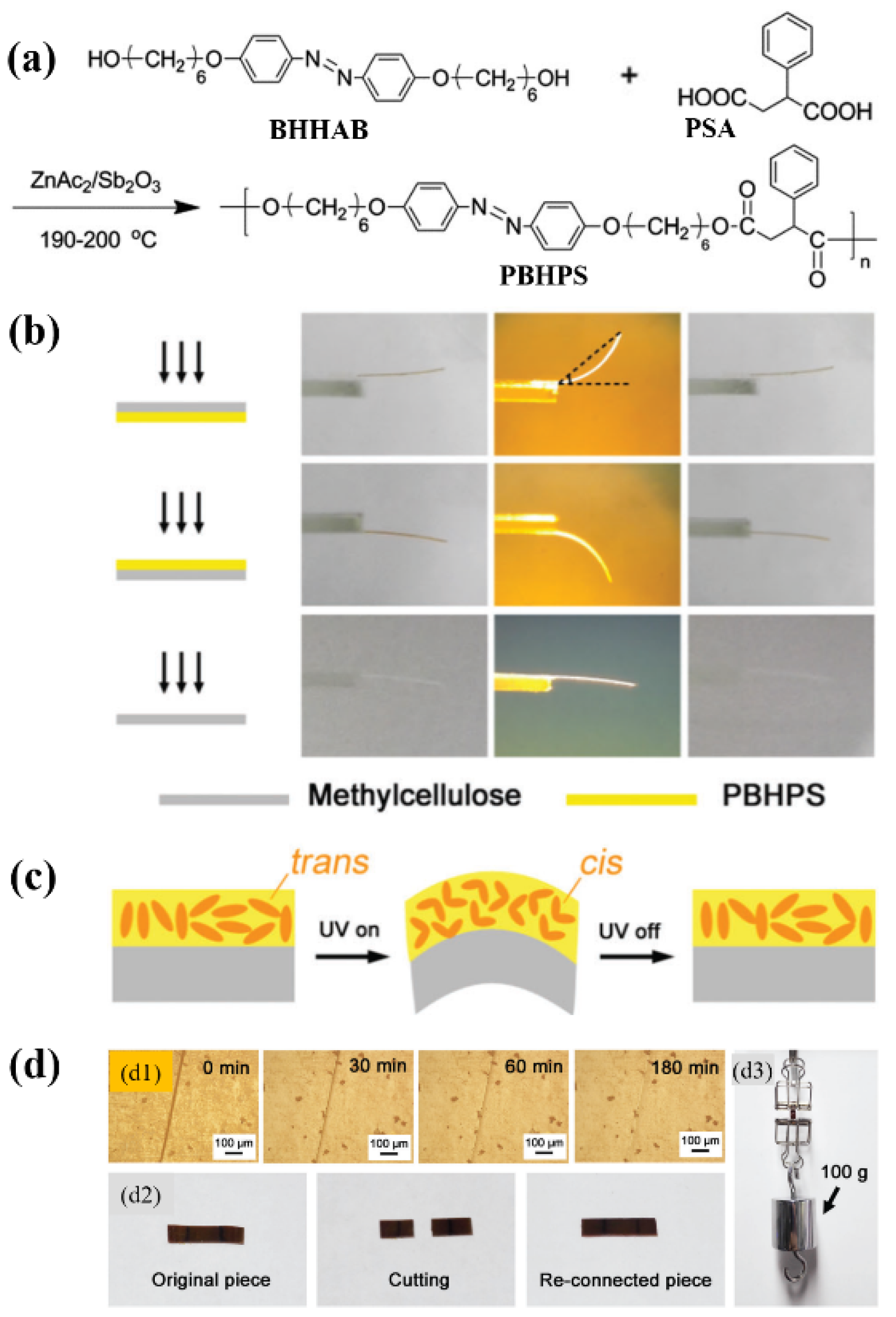 Molecules 26 04455 g005 550