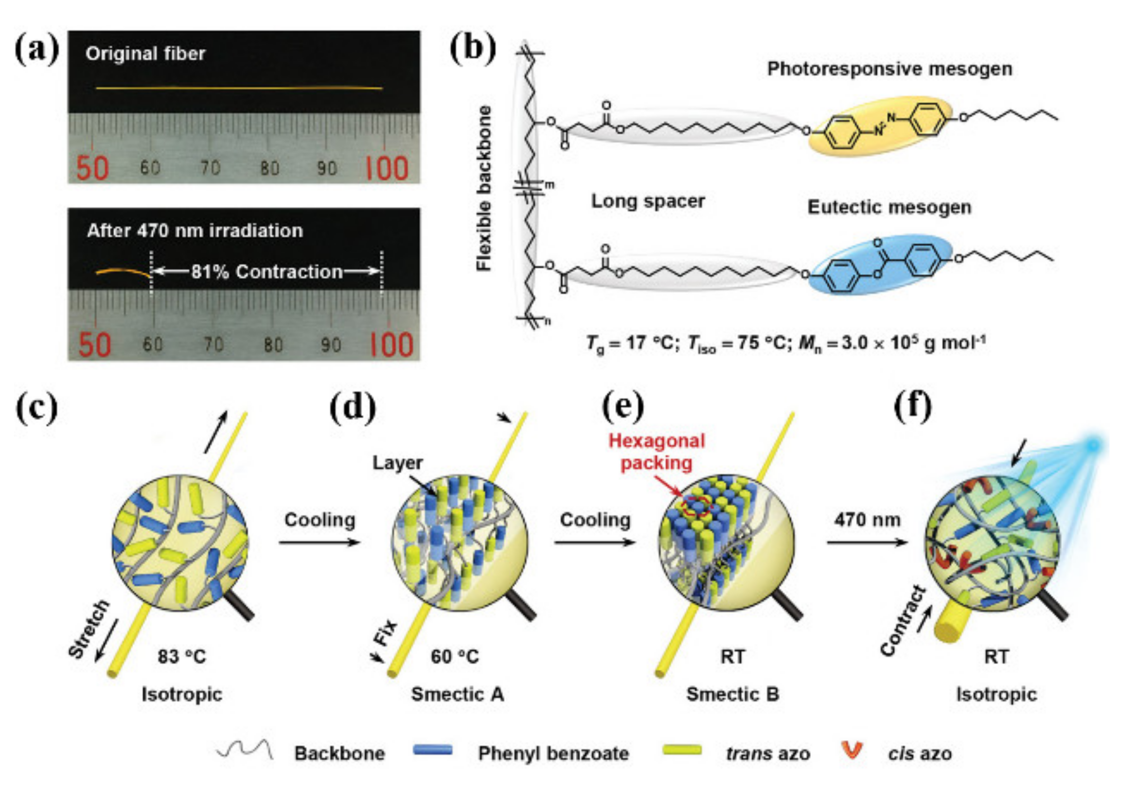 Molecules 26 04455 g008 550
