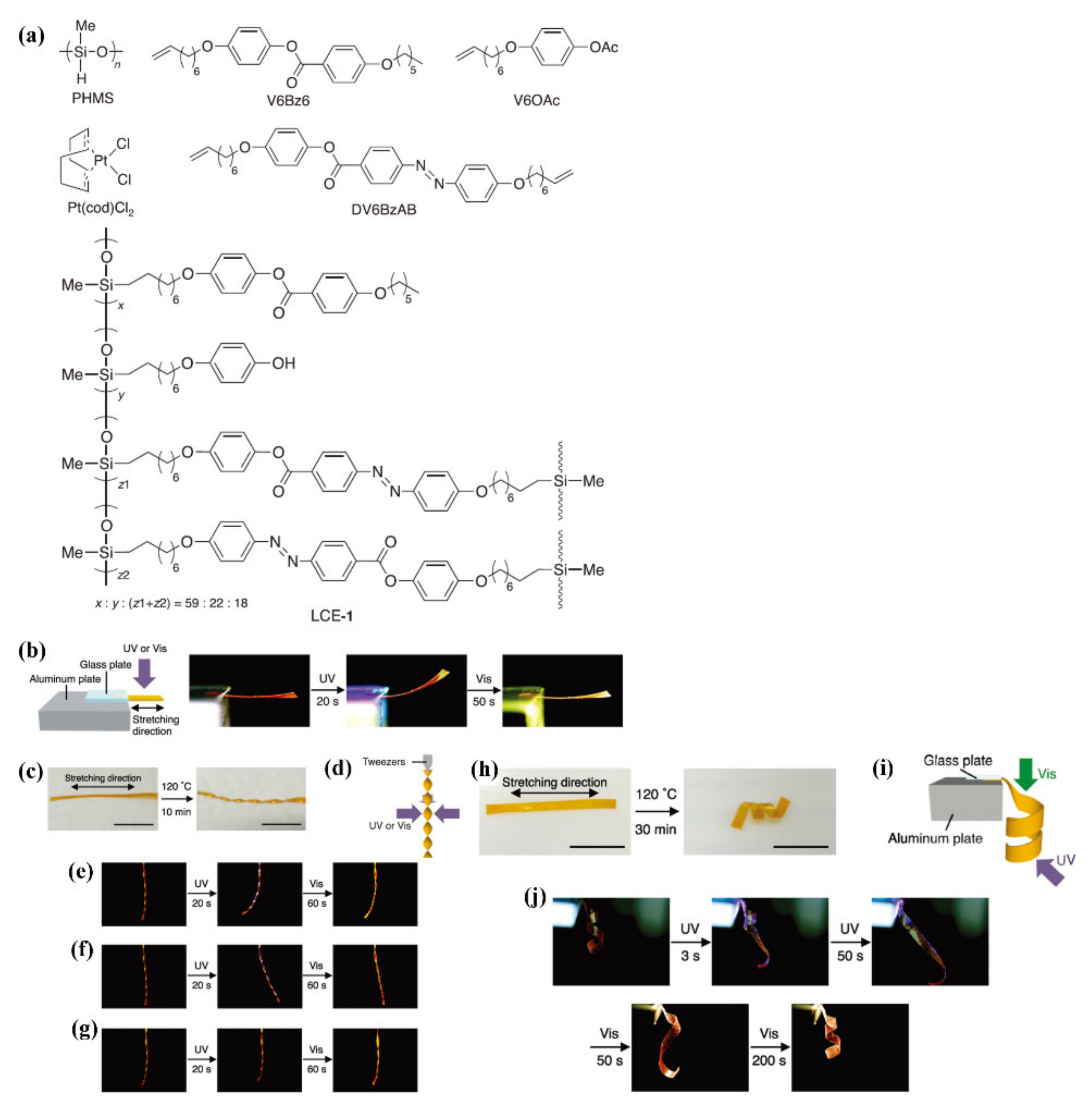 Molecules 26 04455 g011 550