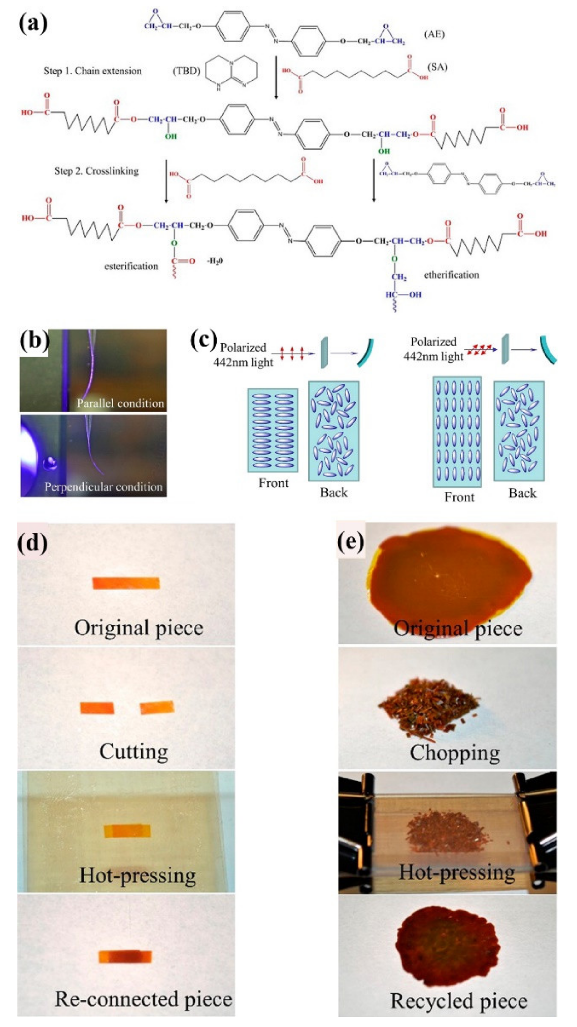 Molecules 26 04455 g012 550