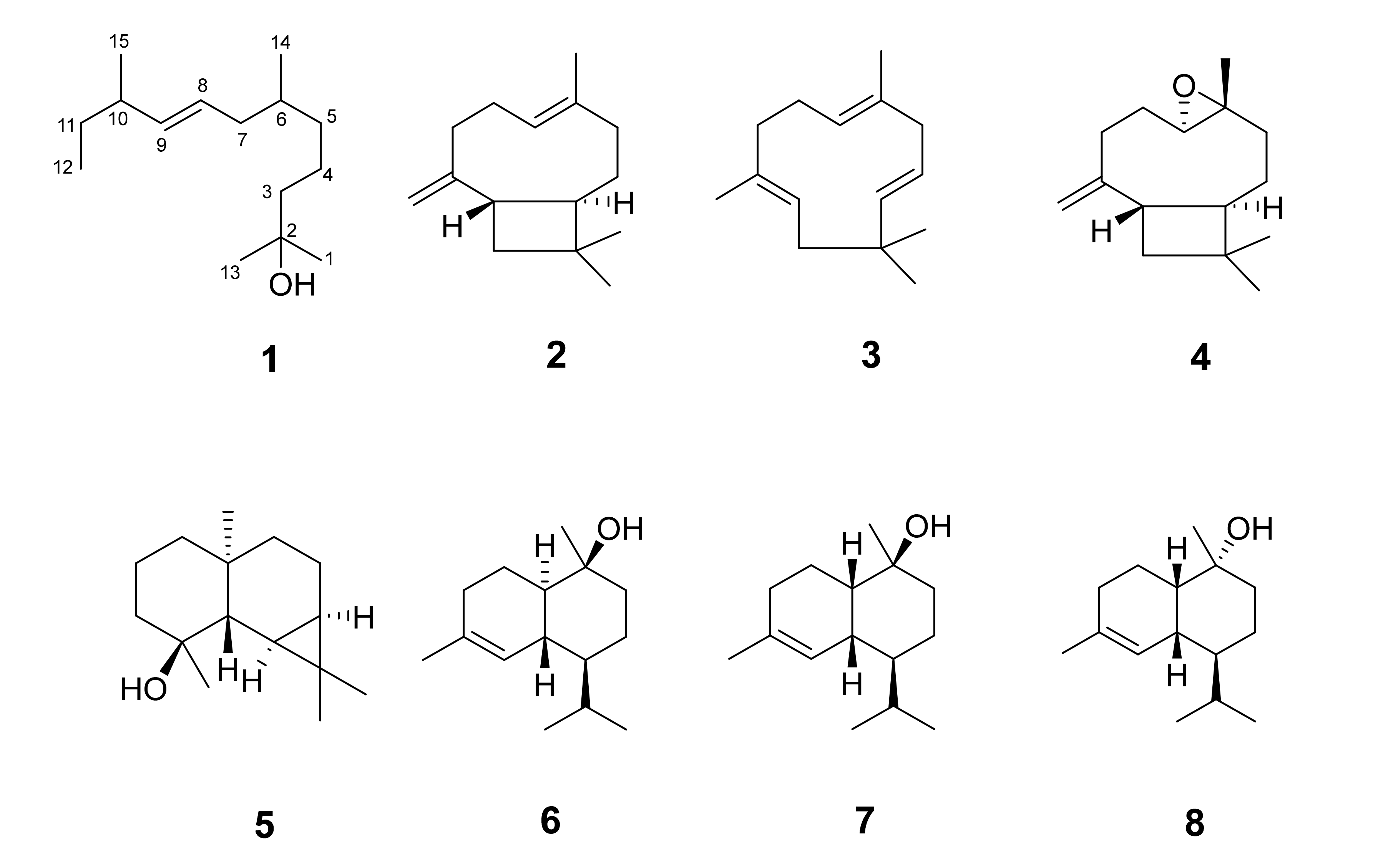 Molecules 26 04456 g001 550