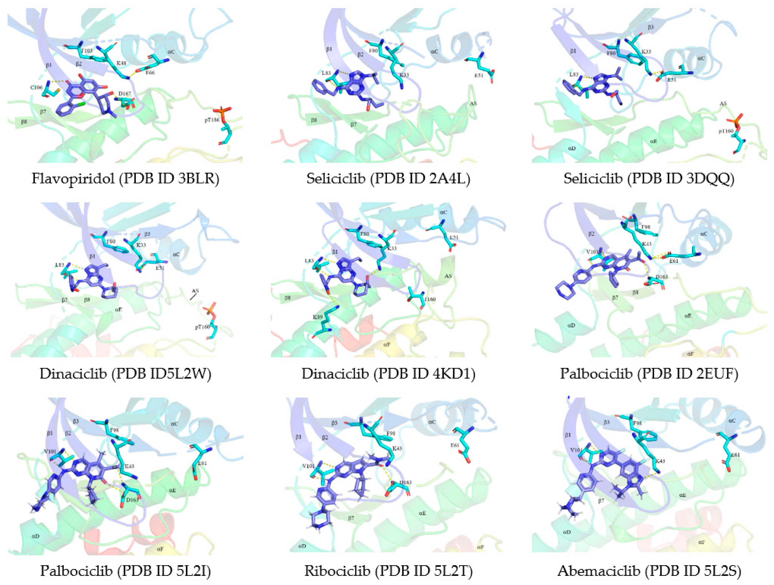 Molecules 26 04462 g005