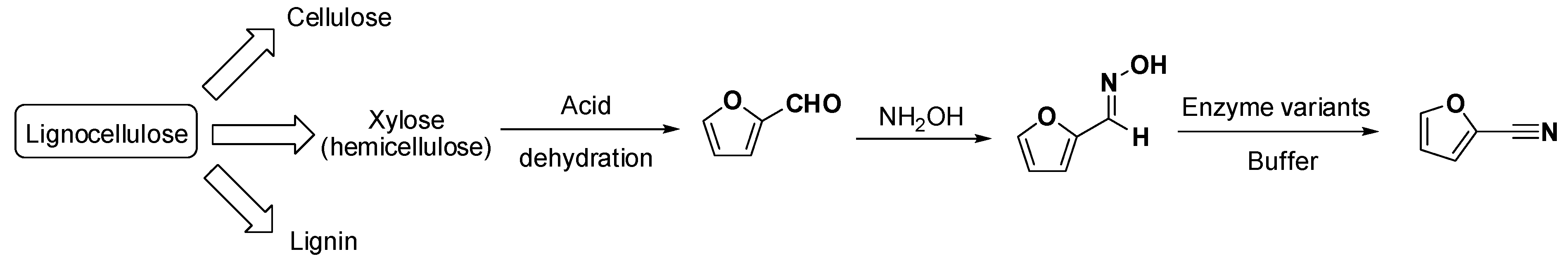 Molecules 26 04466 sch004 550