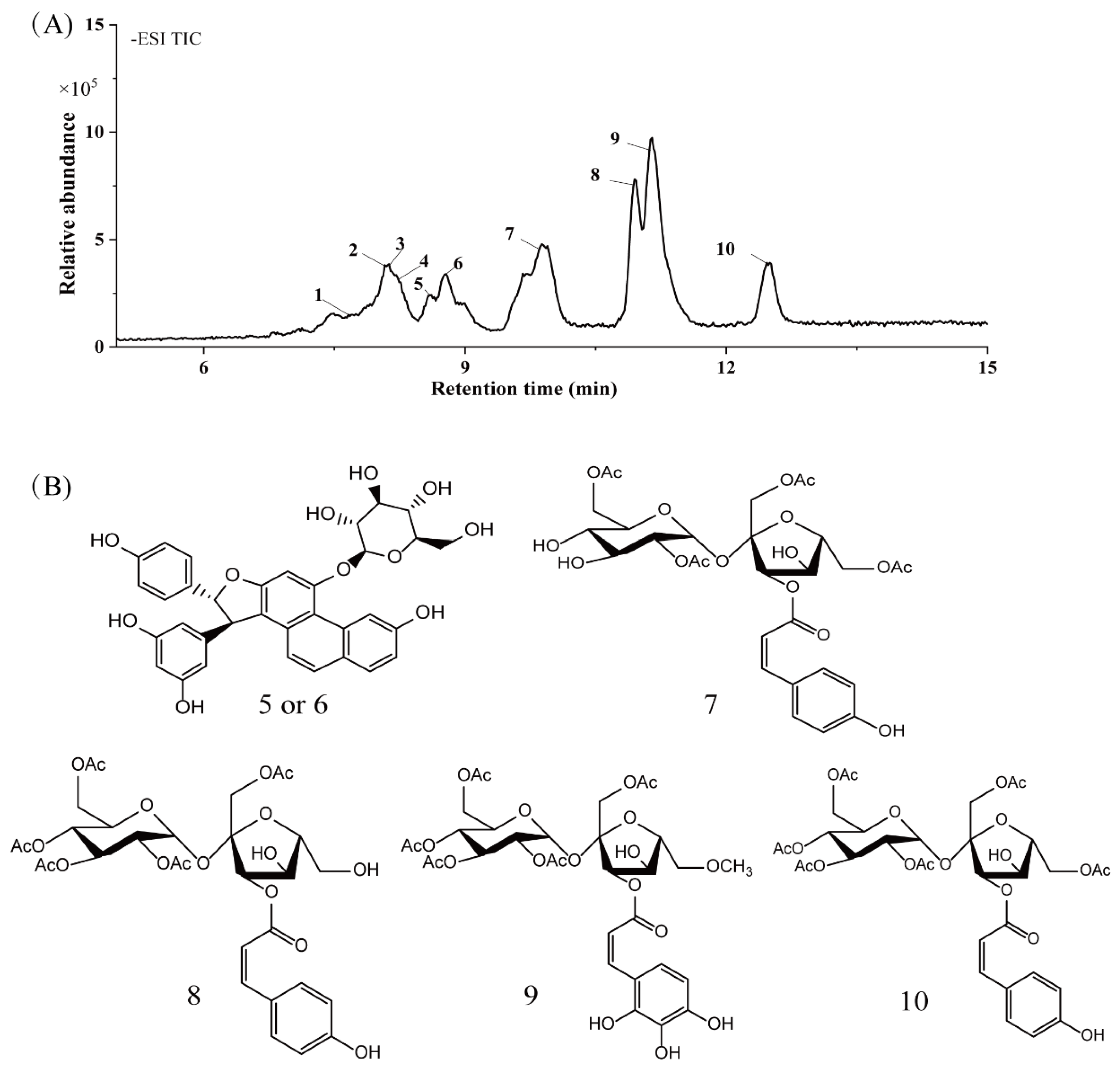 Molecules 26 04472 g005 Molecules 26 04472 g005