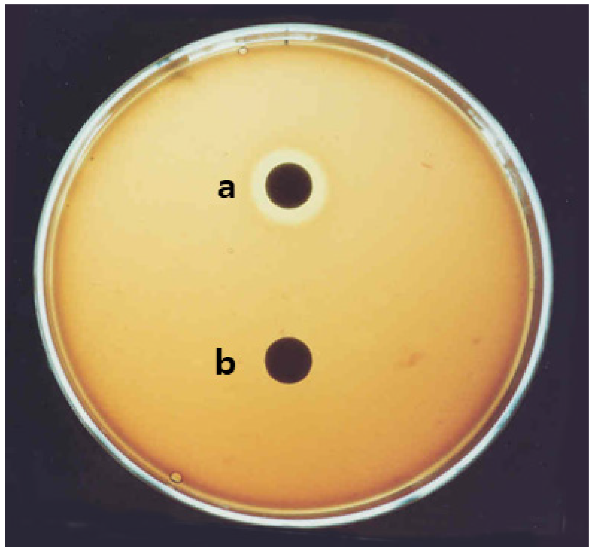 Molecules 26 04478 g001 550