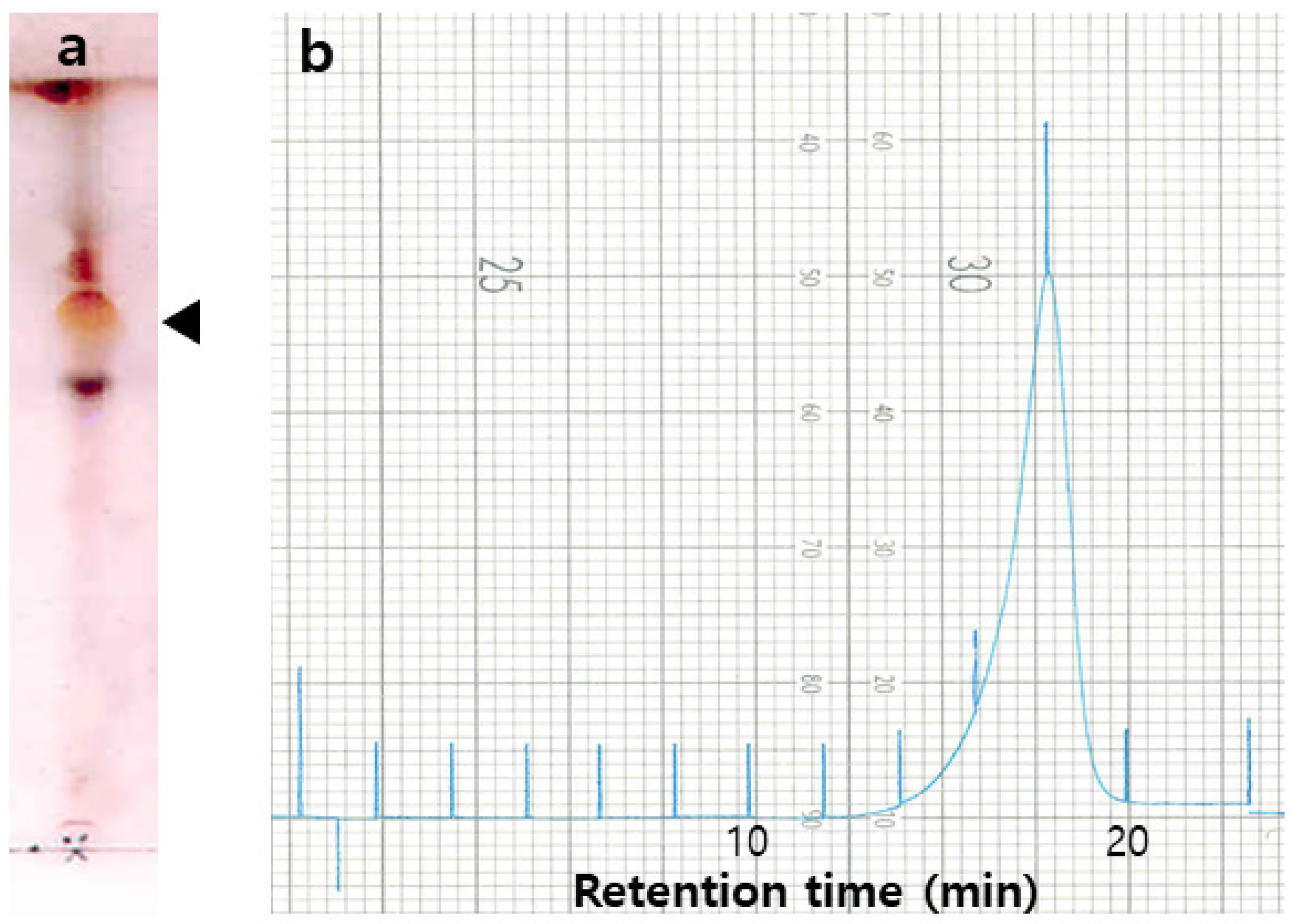 Molecules 26 04478 g002 550