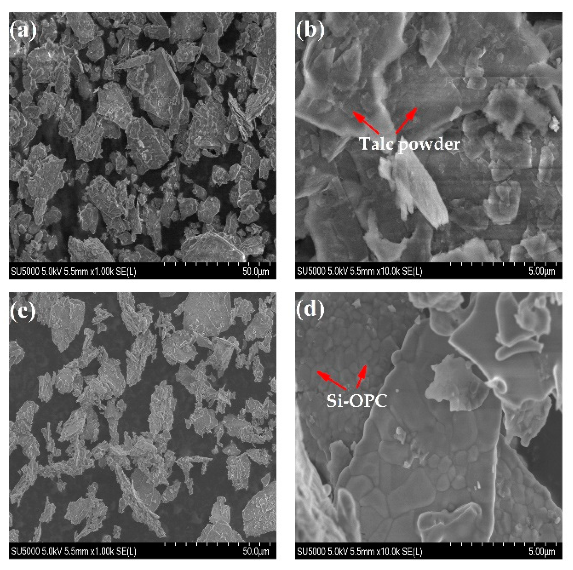Molecules 26 04493 g005