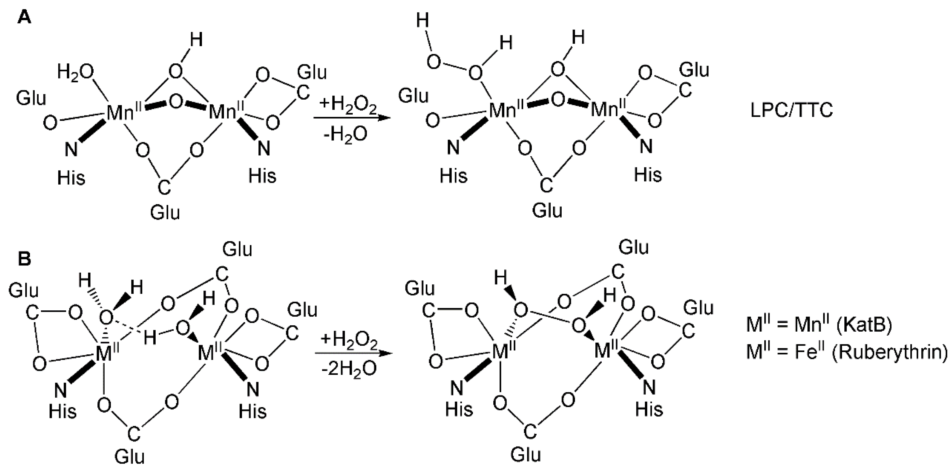 Molecules 26 04501 sch001