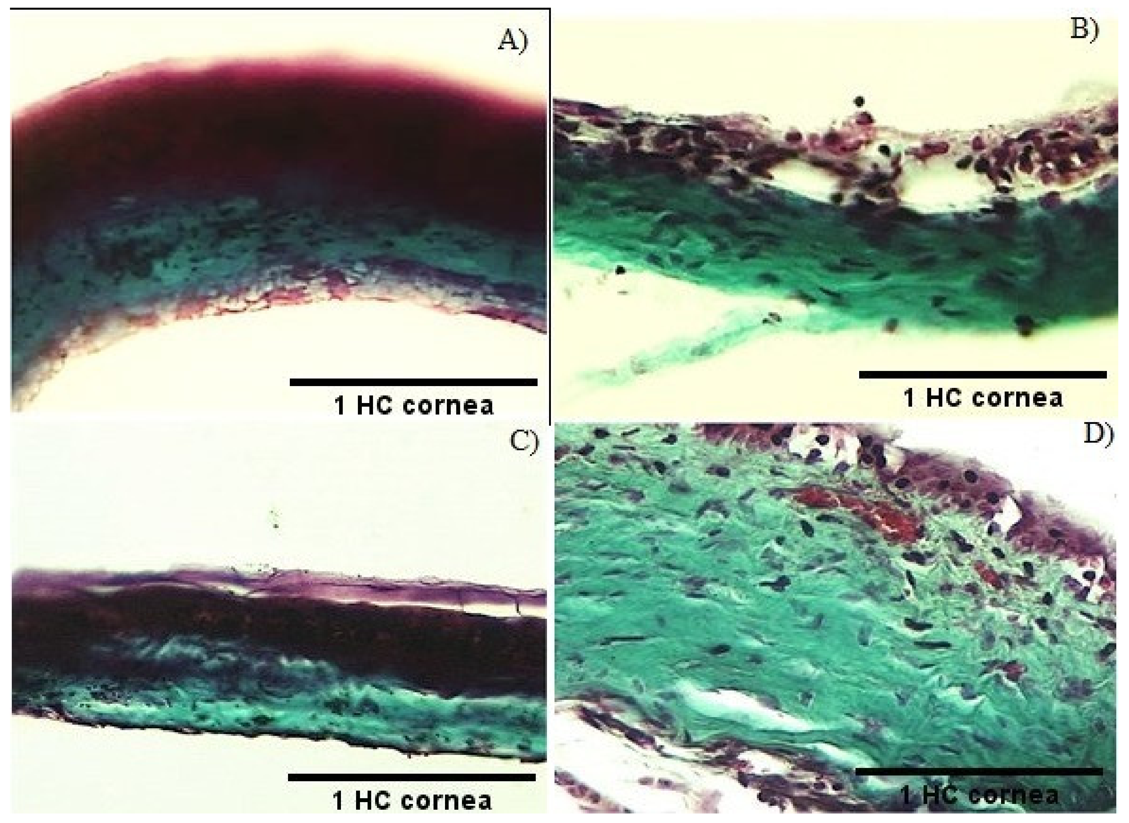 Molecules 26 04502 g007