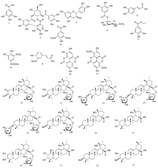 Molecules Topical Collection Bioactive Compounds
