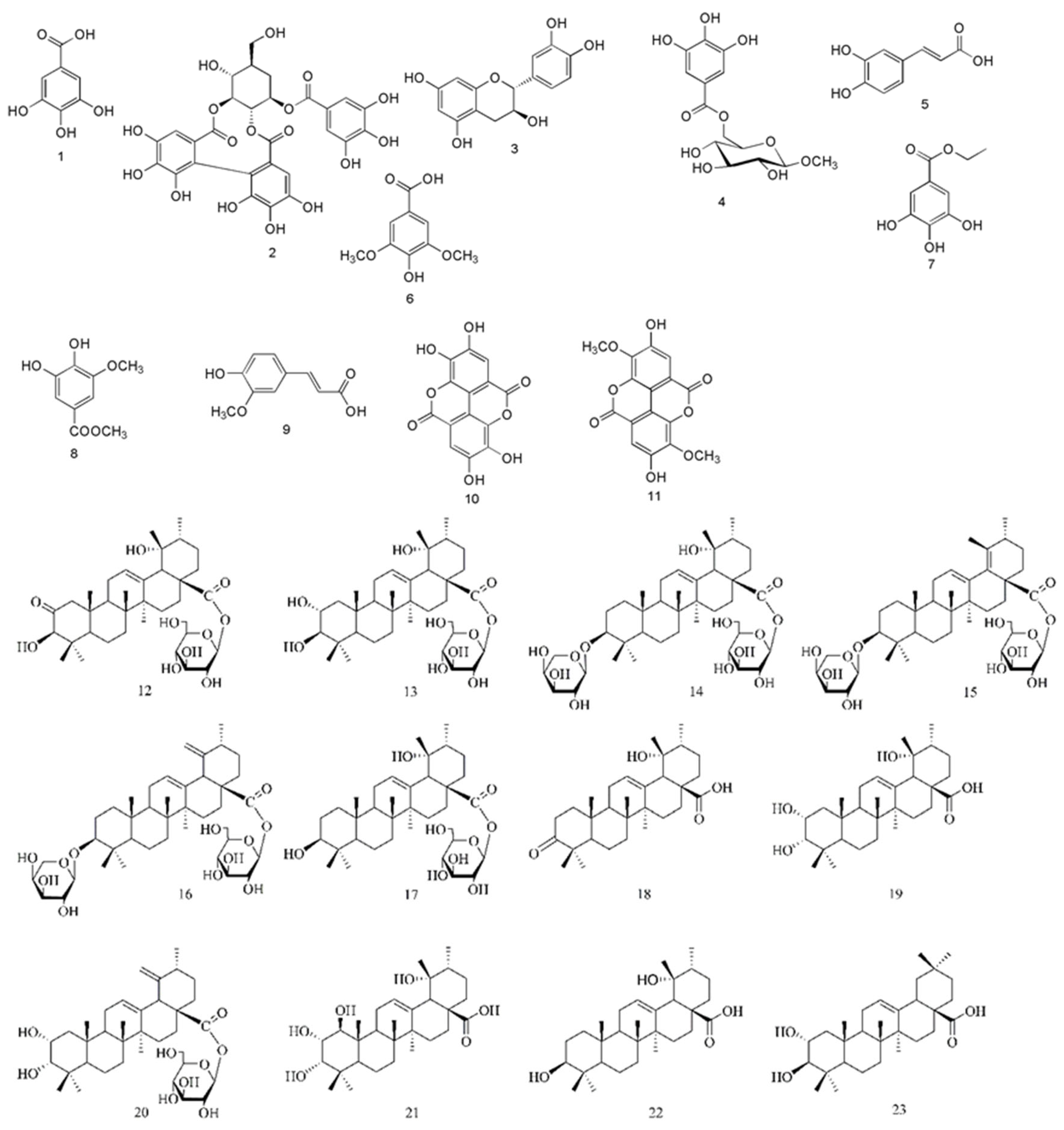 Molecules 26 04505 g001 550