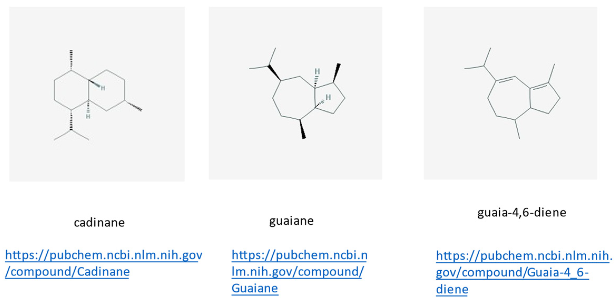 Molecules 26 04507 g008