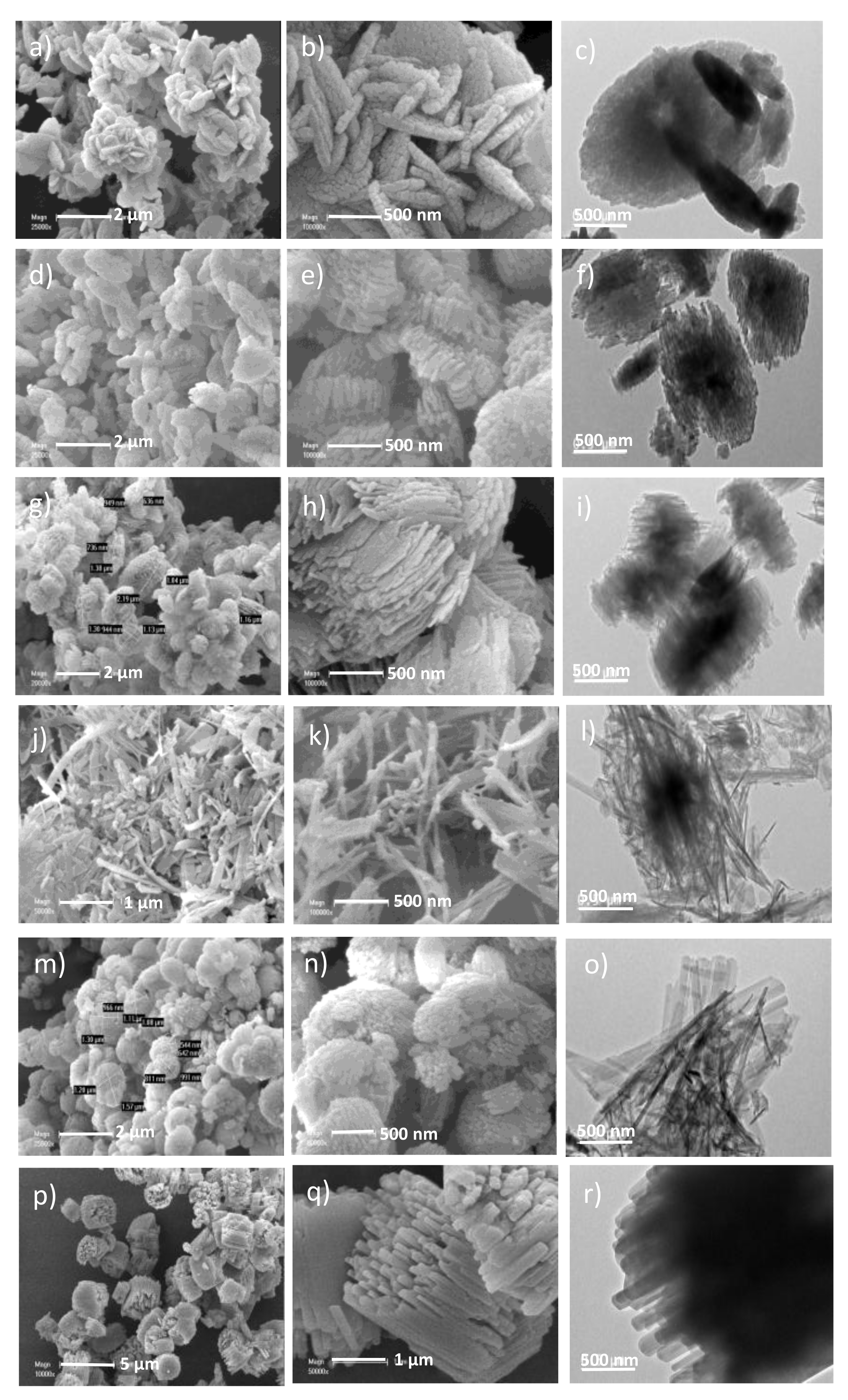 Molecules 26 04508 g002 550