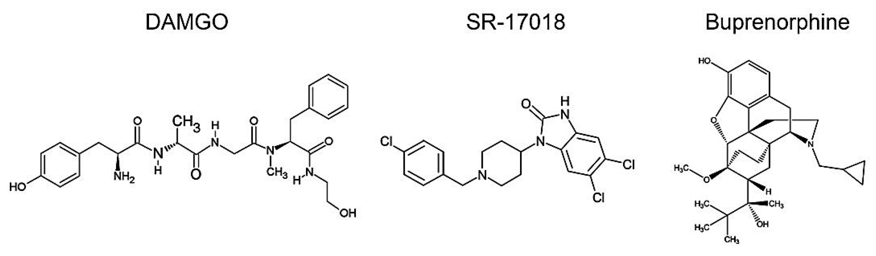 Molecules 26 04509 g001 550