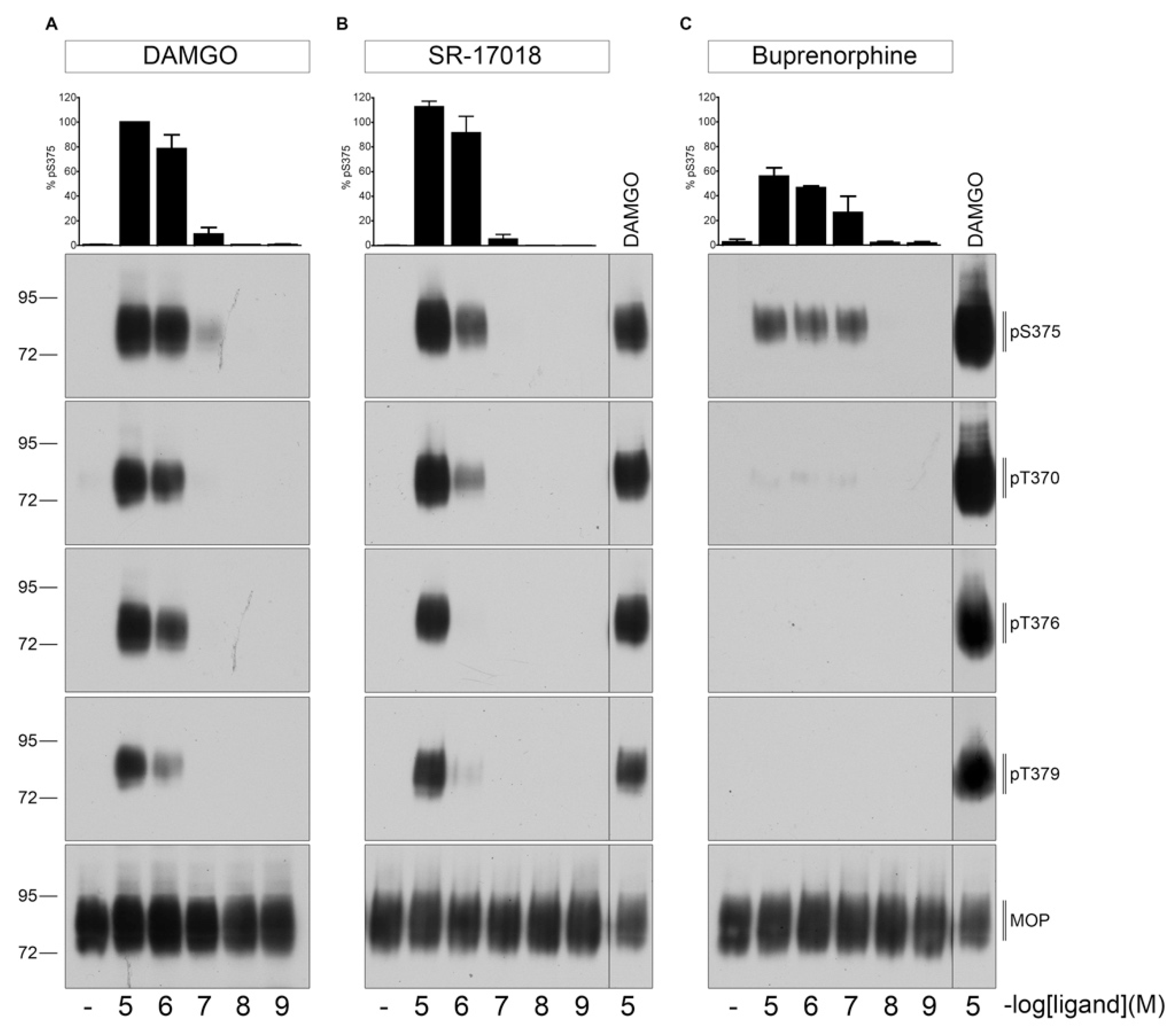 Molecules 26 04509 g002 550