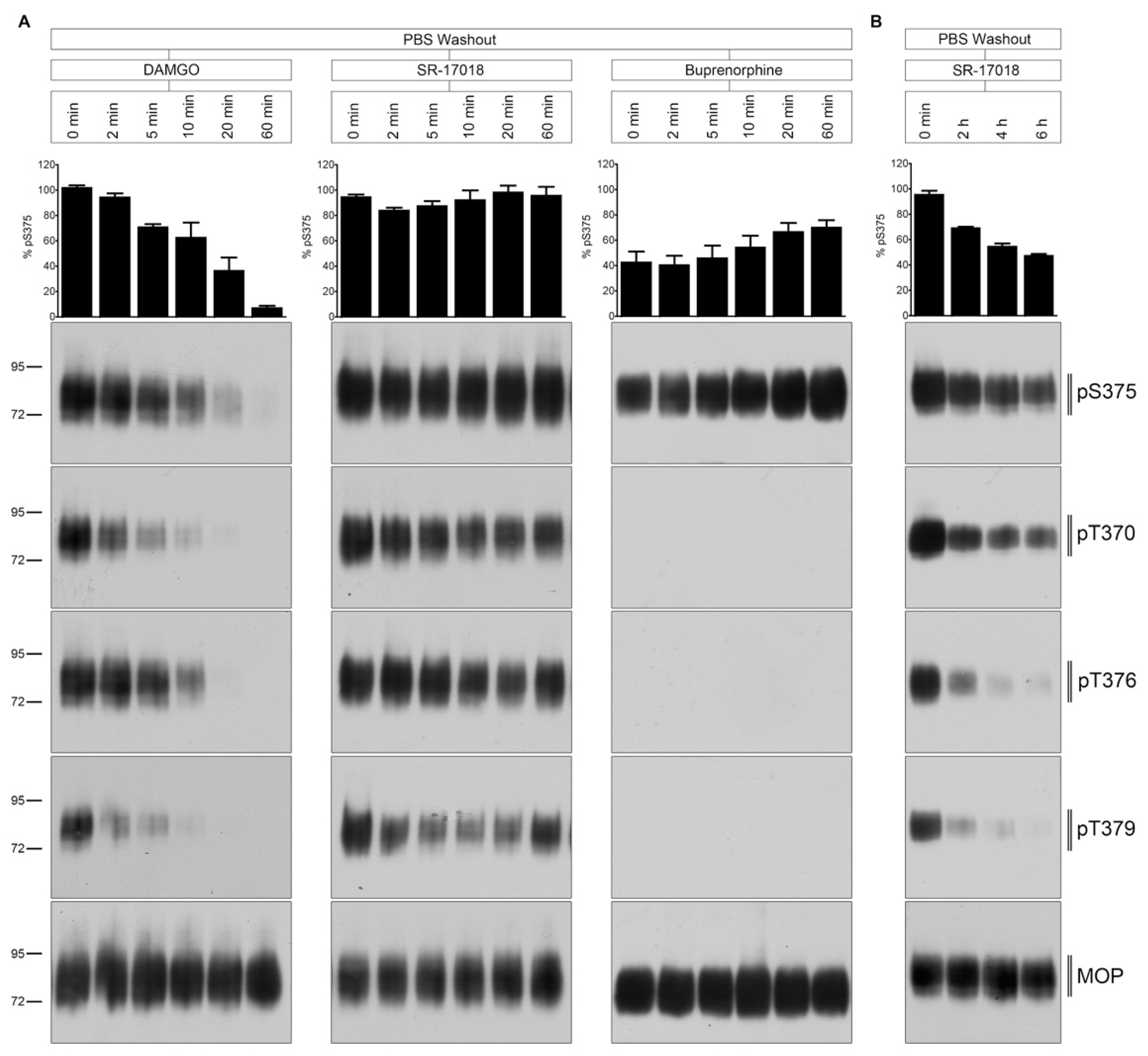 Molecules 26 04509 g004 550