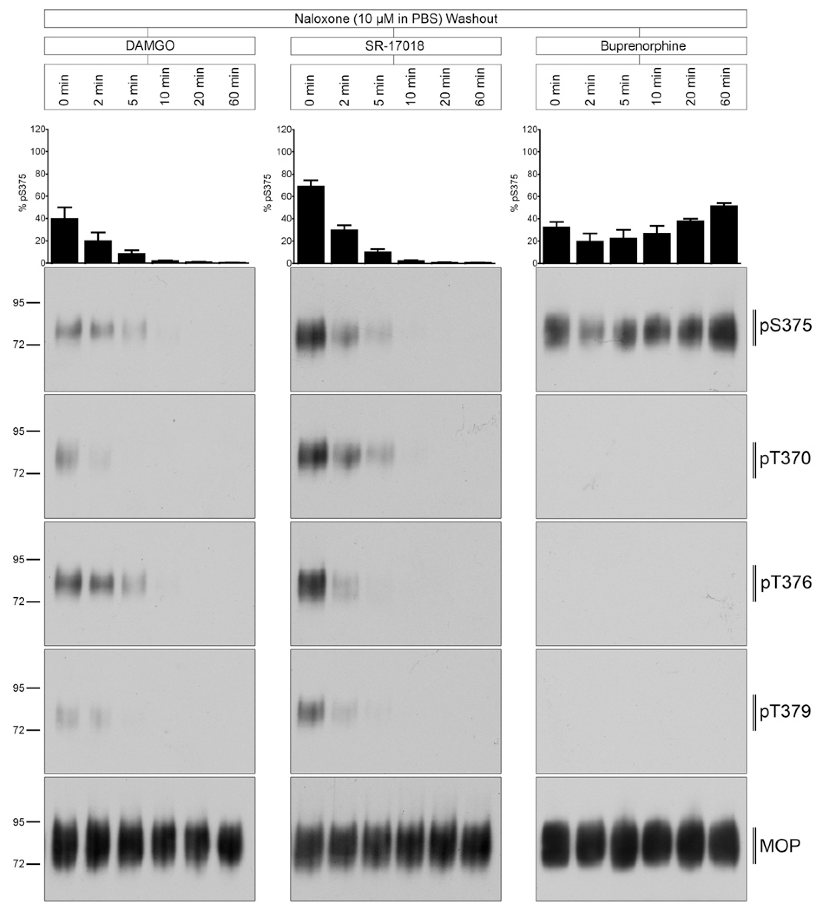 Molecules 26 04509 g005 550